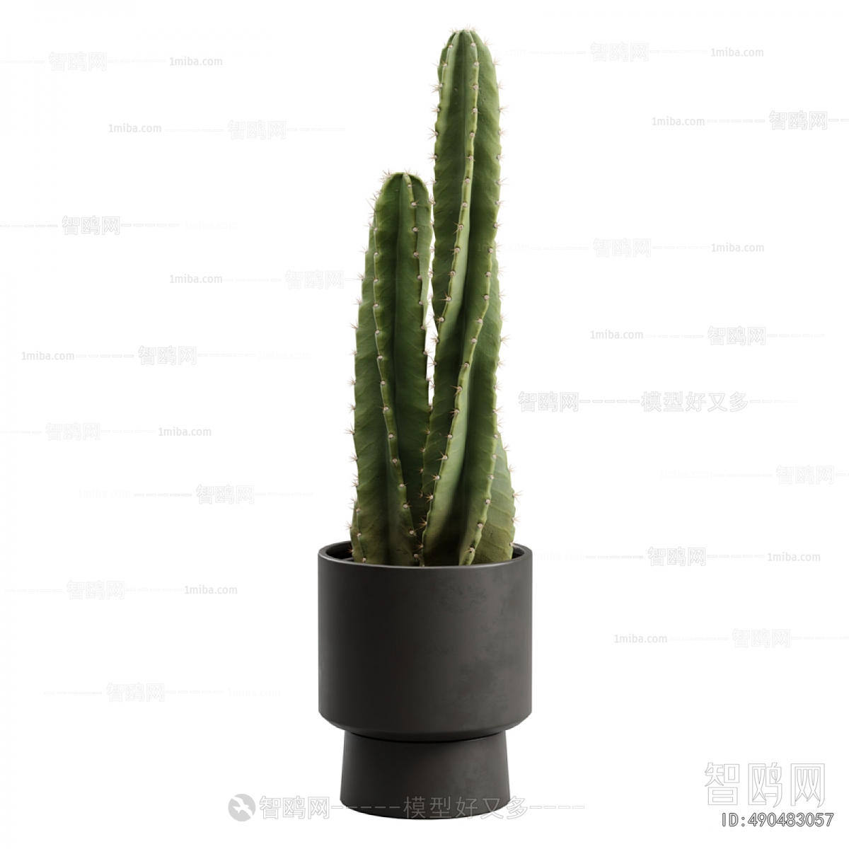 Modern Potted Green Plant