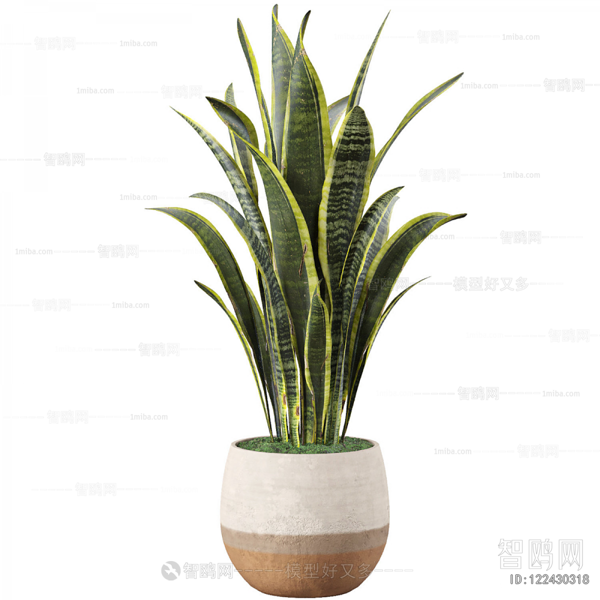 Modern Potted Green Plant