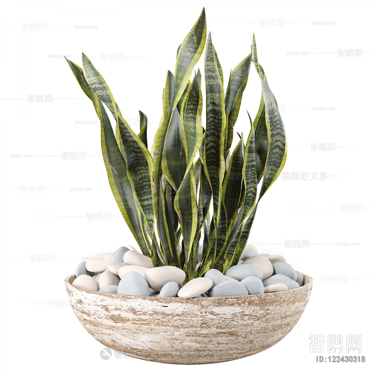 Modern Potted Green Plant