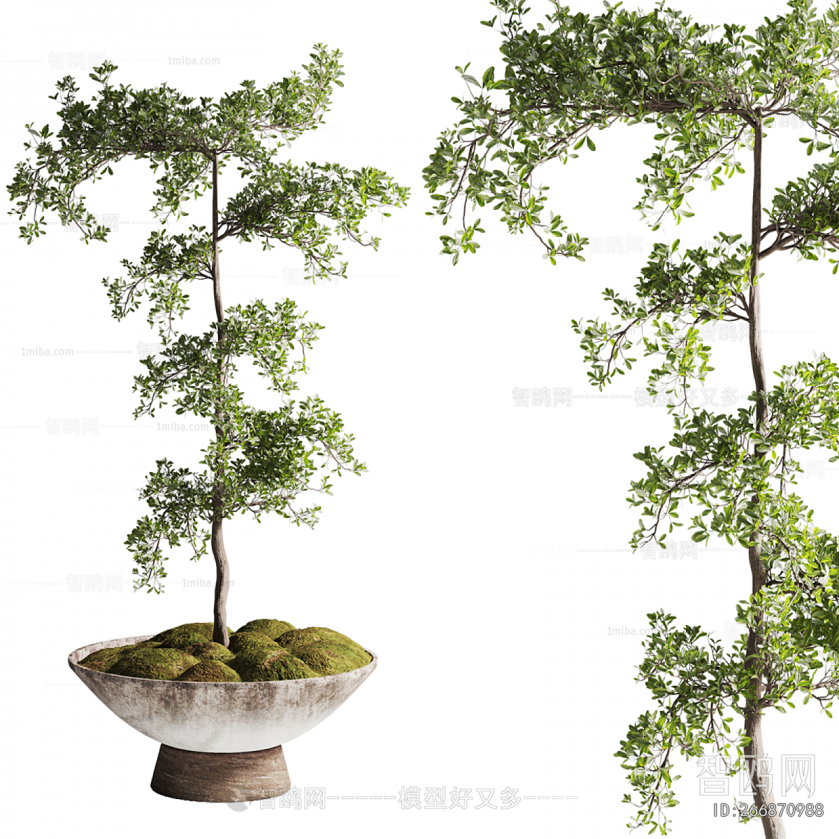 New Chinese Style Bonsai