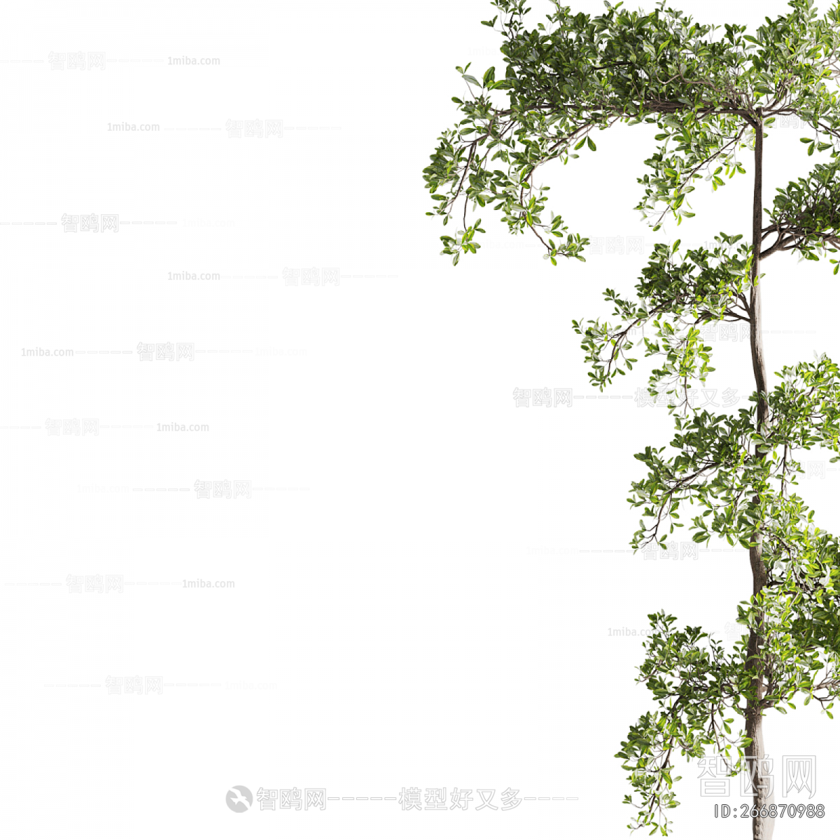 New Chinese Style Bonsai