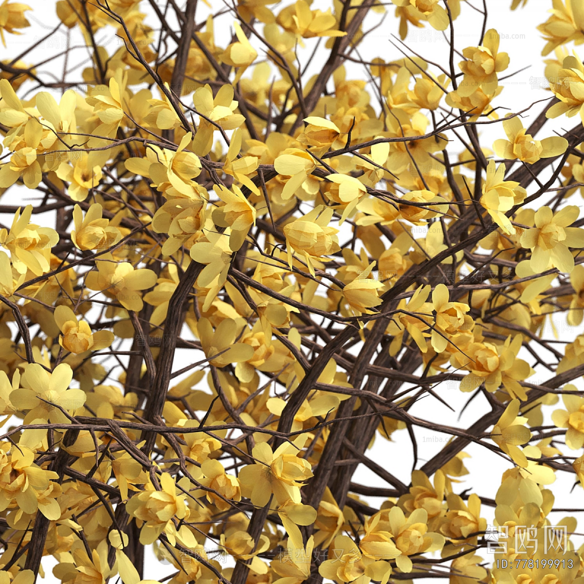 Wabi-sabi Style Dried Branch