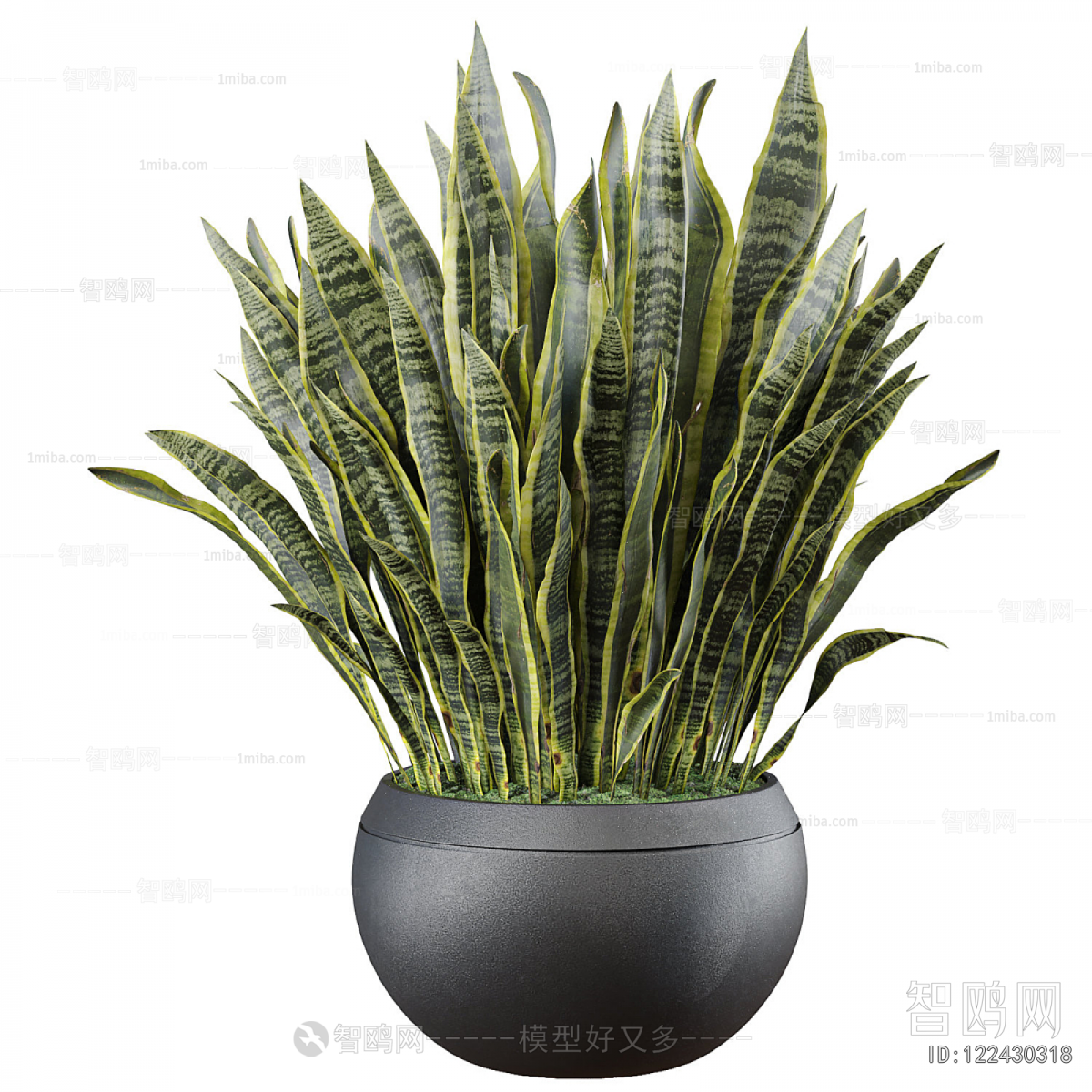 Modern Potted Green Plant