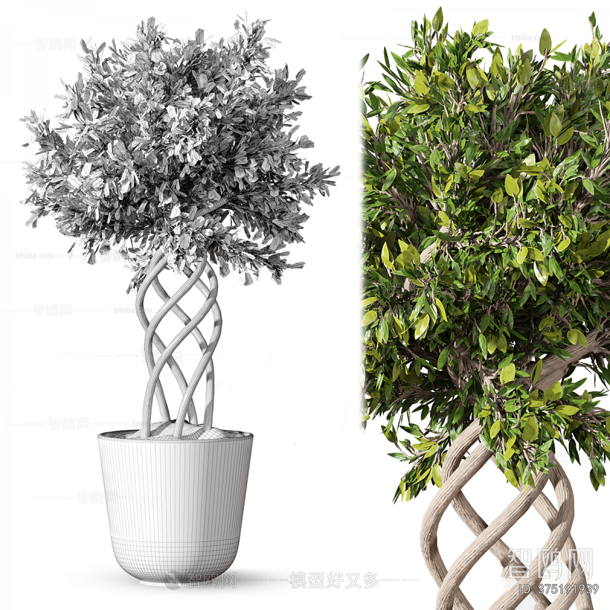 Modern Ground Green Plant Potted Plants