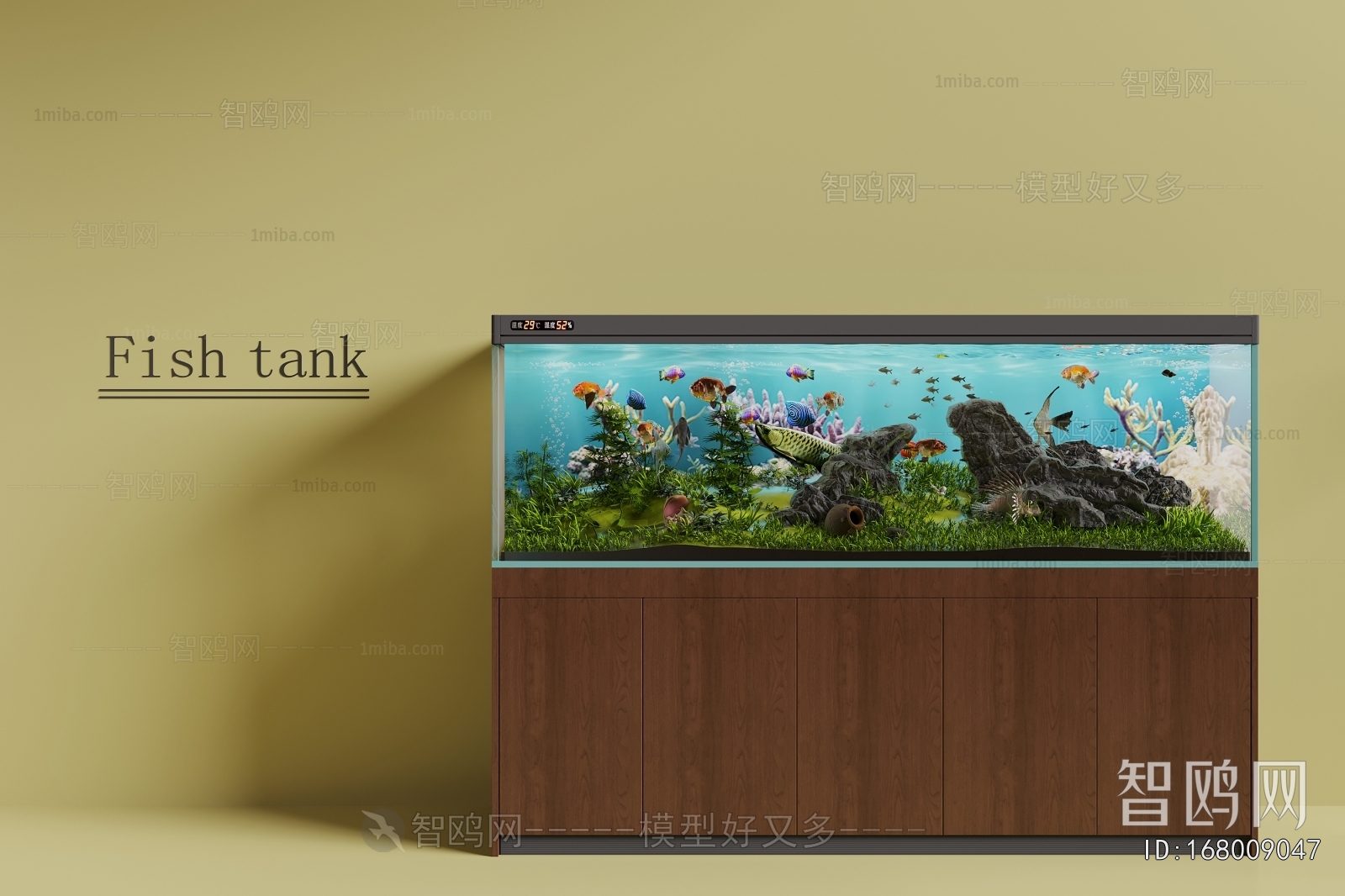 Modern Fish Tank