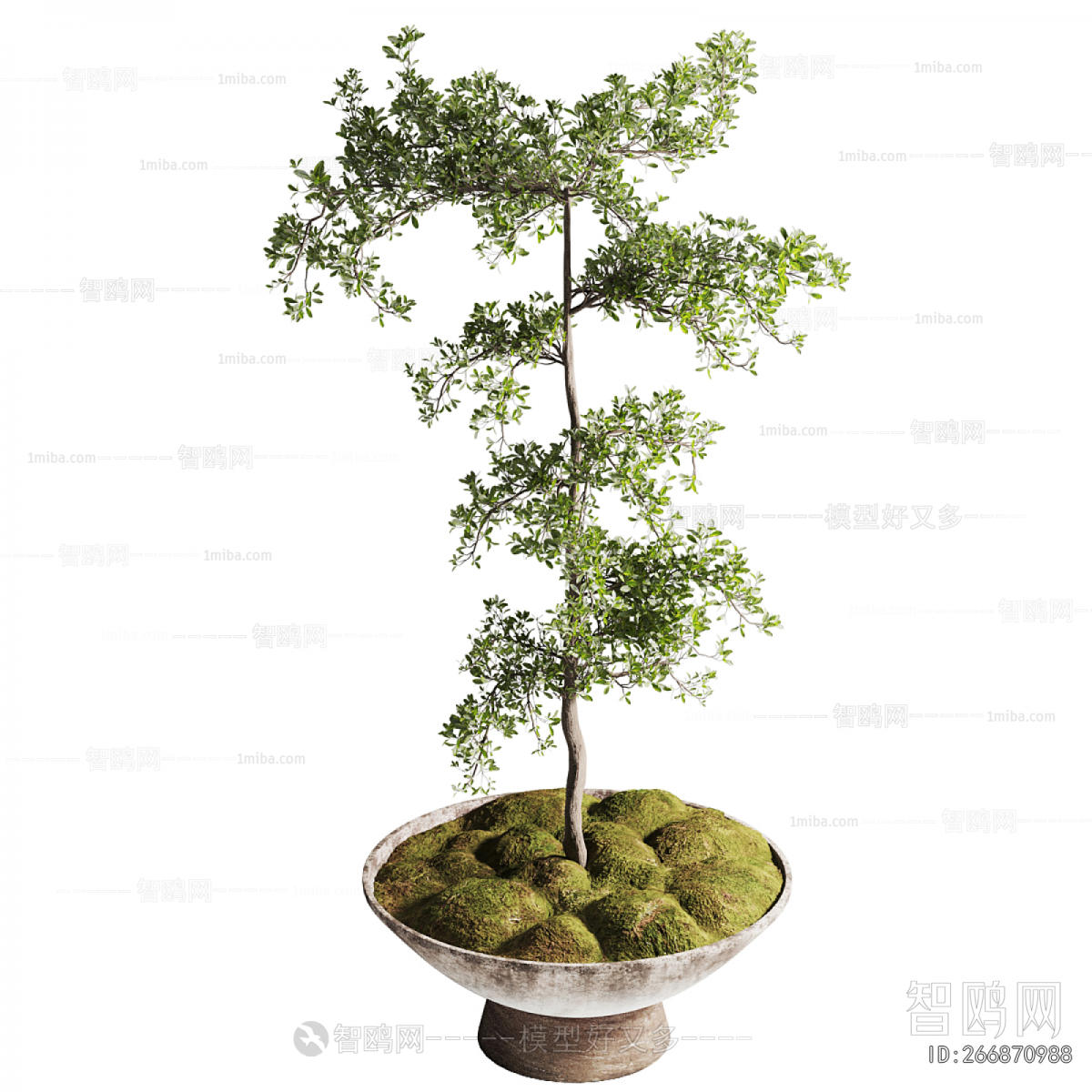 New Chinese Style Bonsai