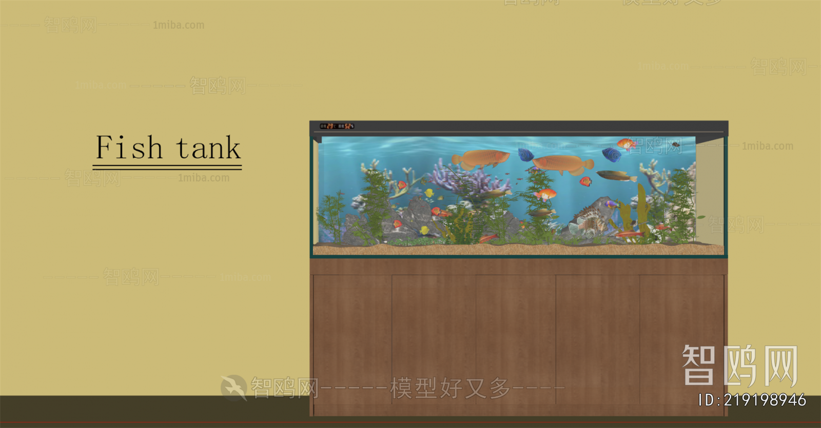 Modern Fish Tank