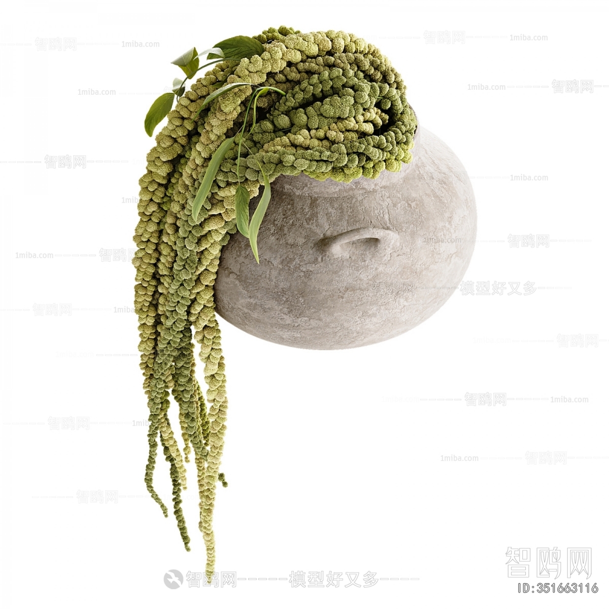 Modern Potted Green Plant