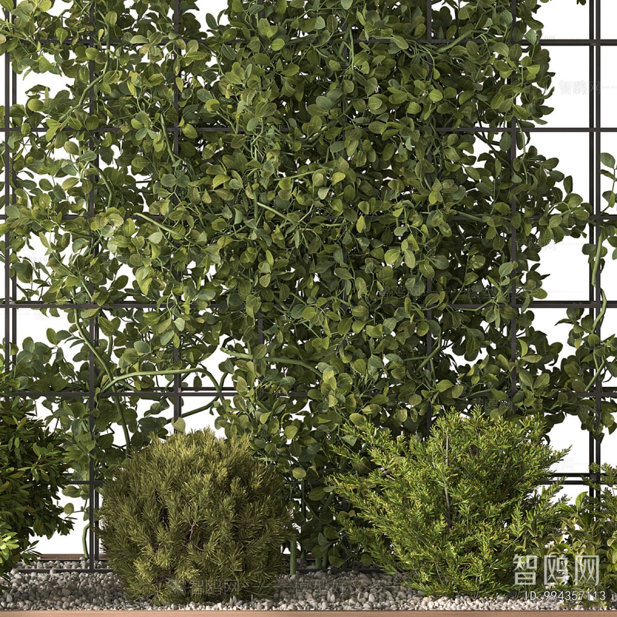 Modern Flower Bed, Flower Bowl, Flower Box