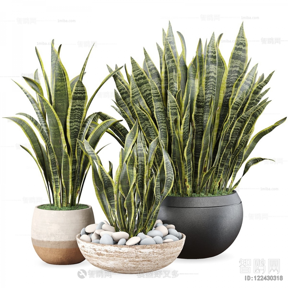 Modern Potted Green Plant