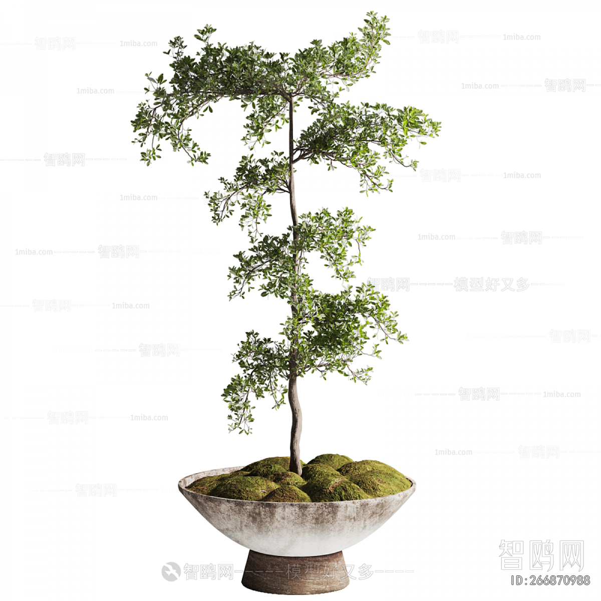 New Chinese Style Bonsai