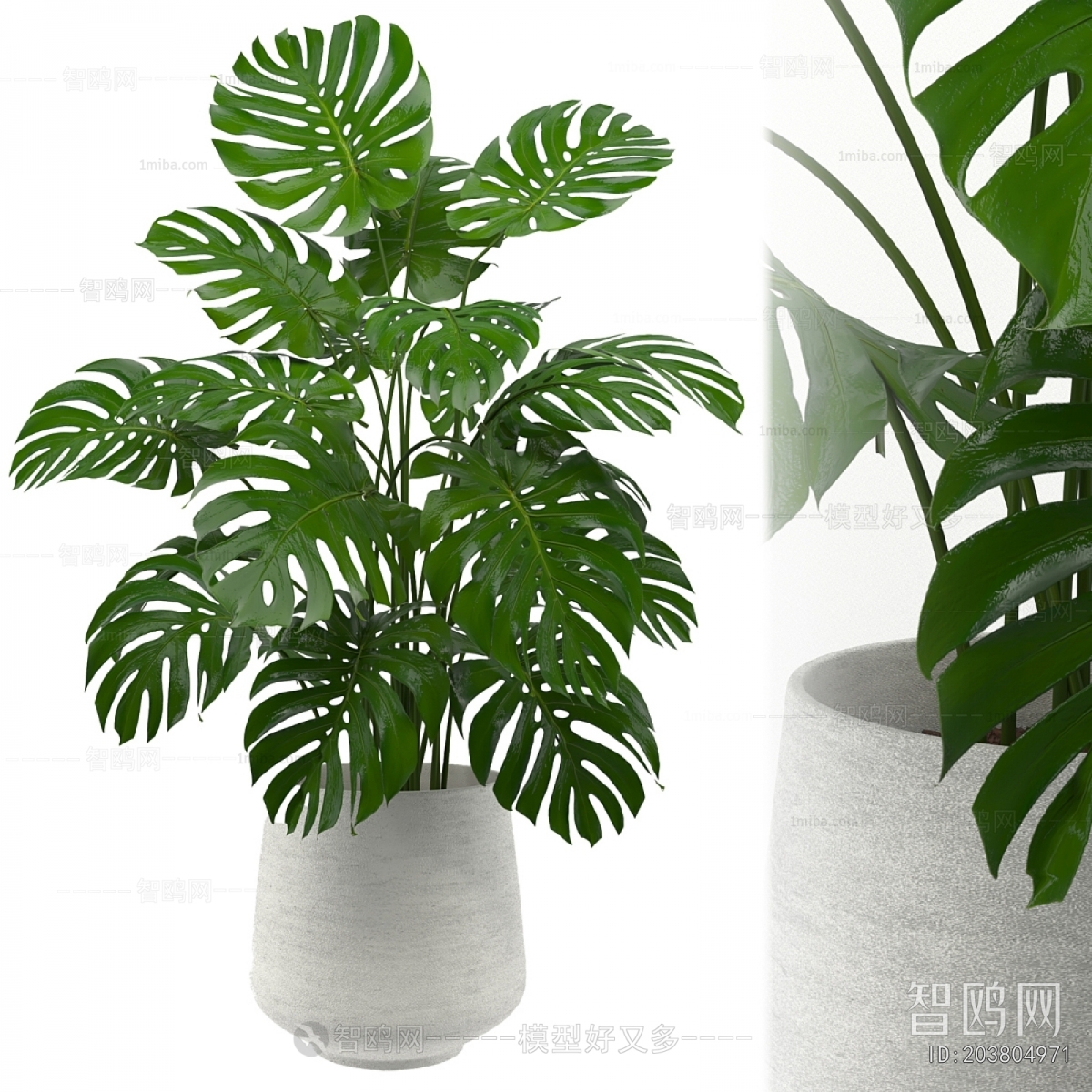 Modern Potted Green Plant