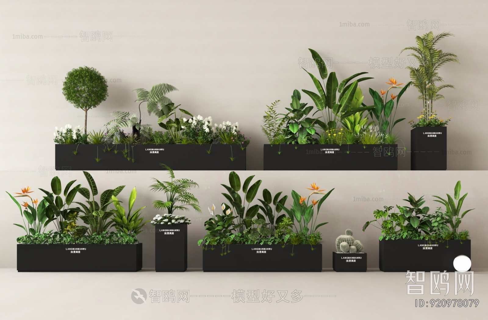 Modern Flower Bed, Flower Bowl, Flower Box