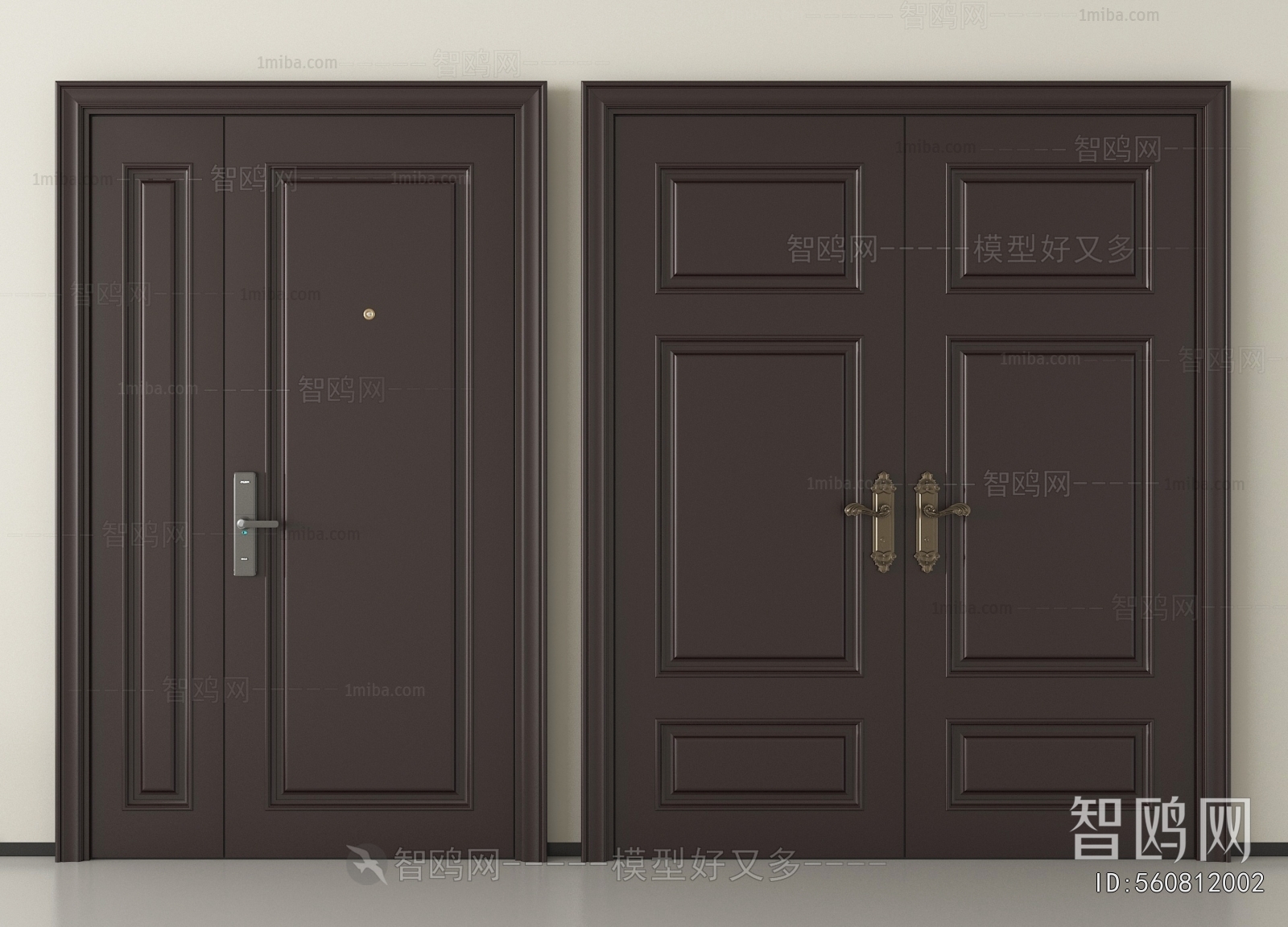 Modern Entrance Door