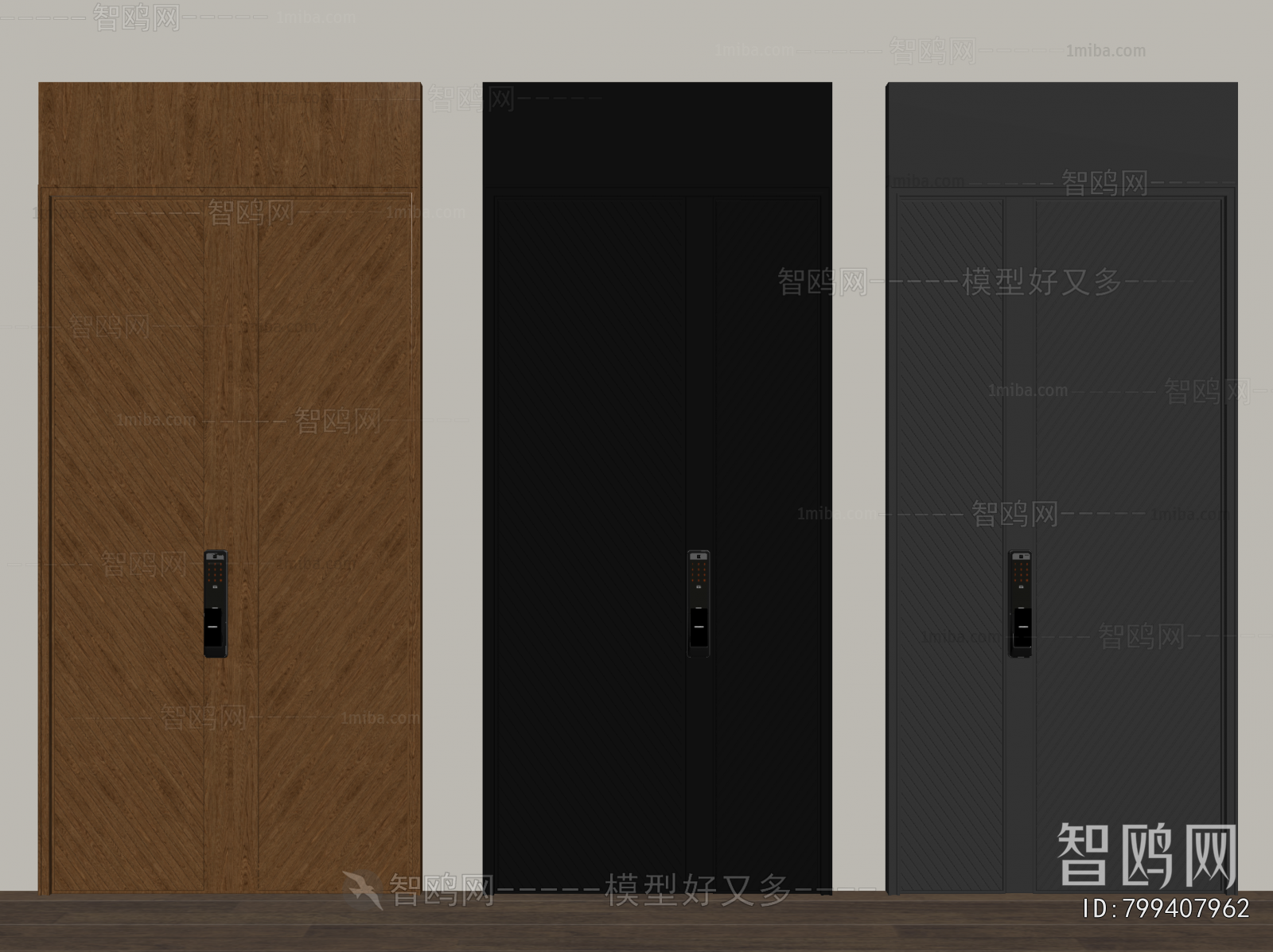 Modern Entrance Door