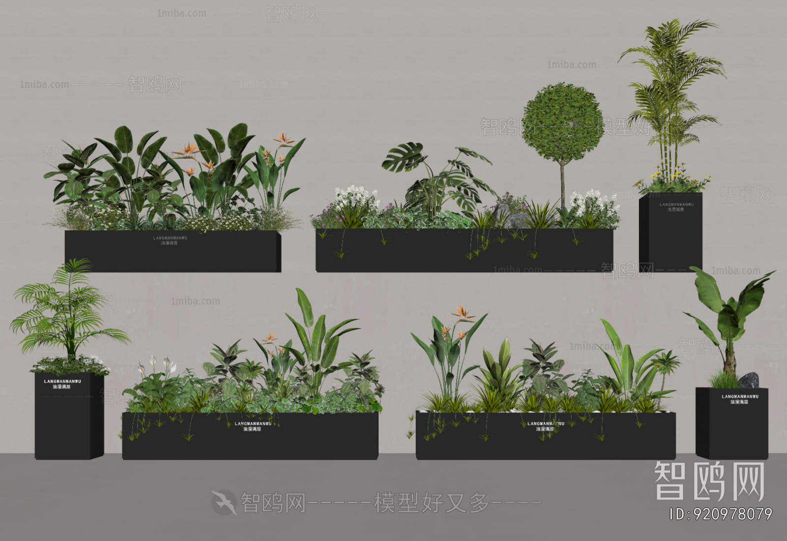 Modern Flower Bed, Flower Bowl, Flower Box