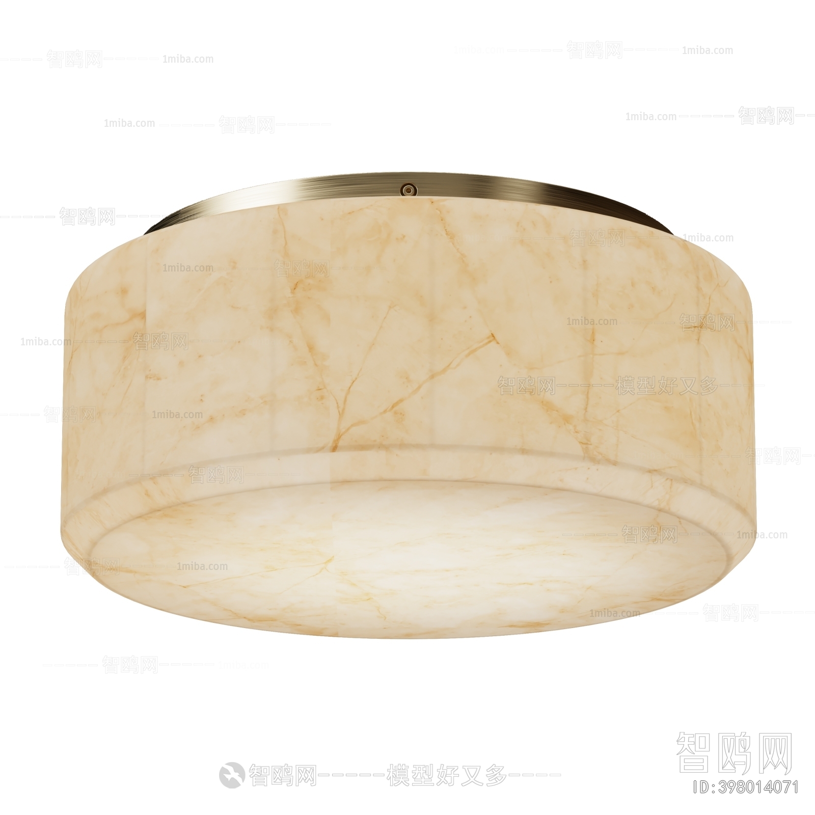 Modern Ceiling Ceiling Lamp