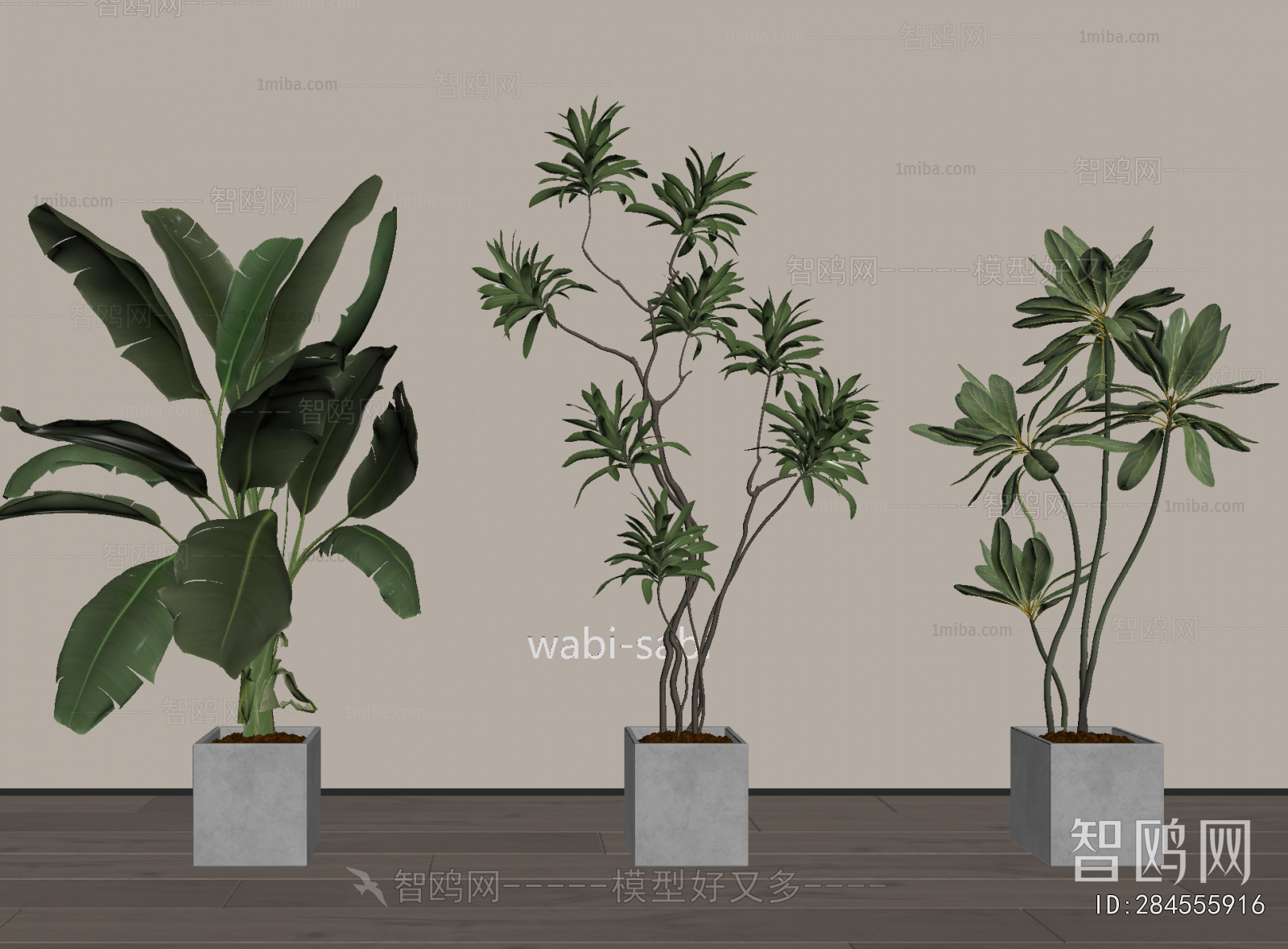 Modern Ground Green Plant Potted Plants
