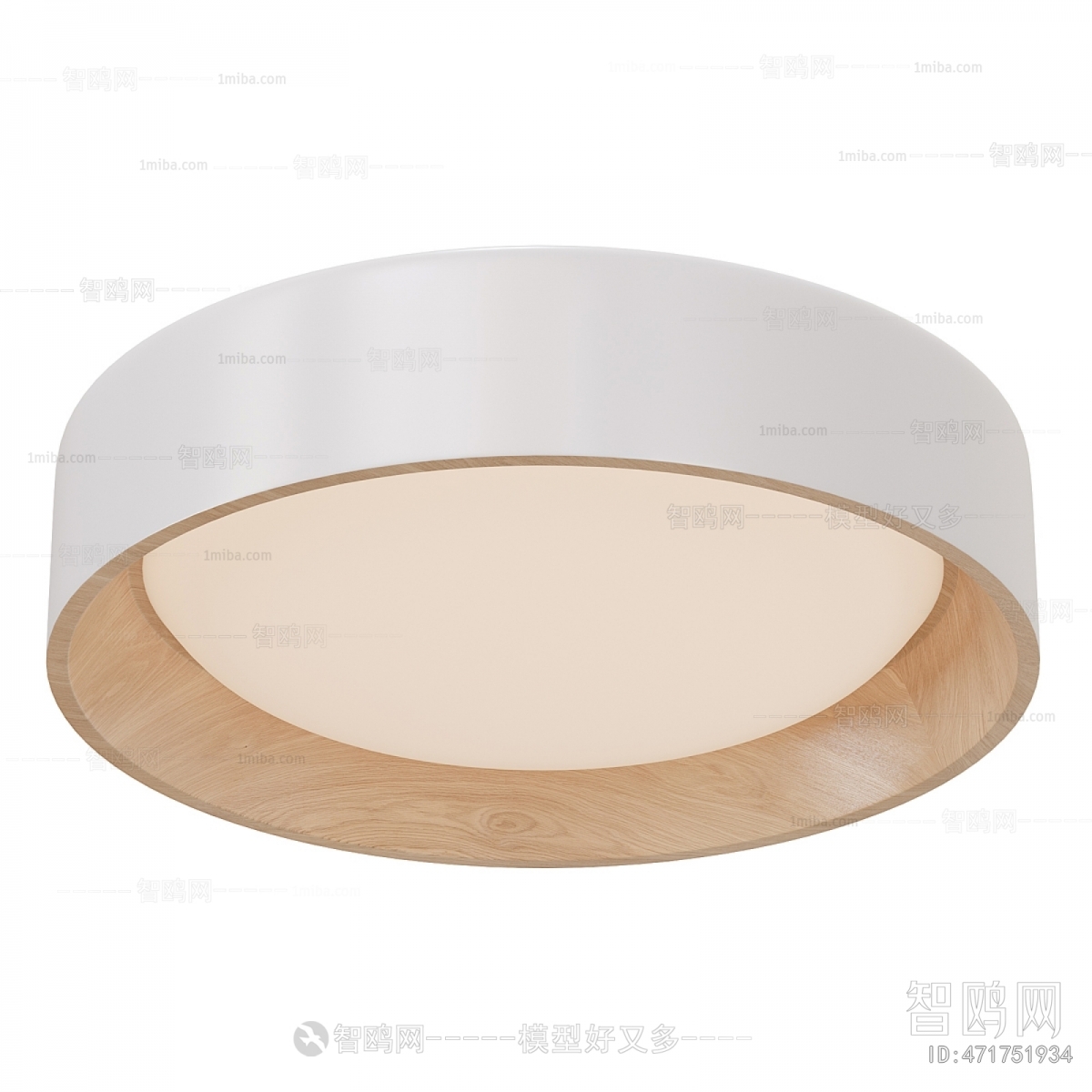 Modern Ceiling Ceiling Lamp