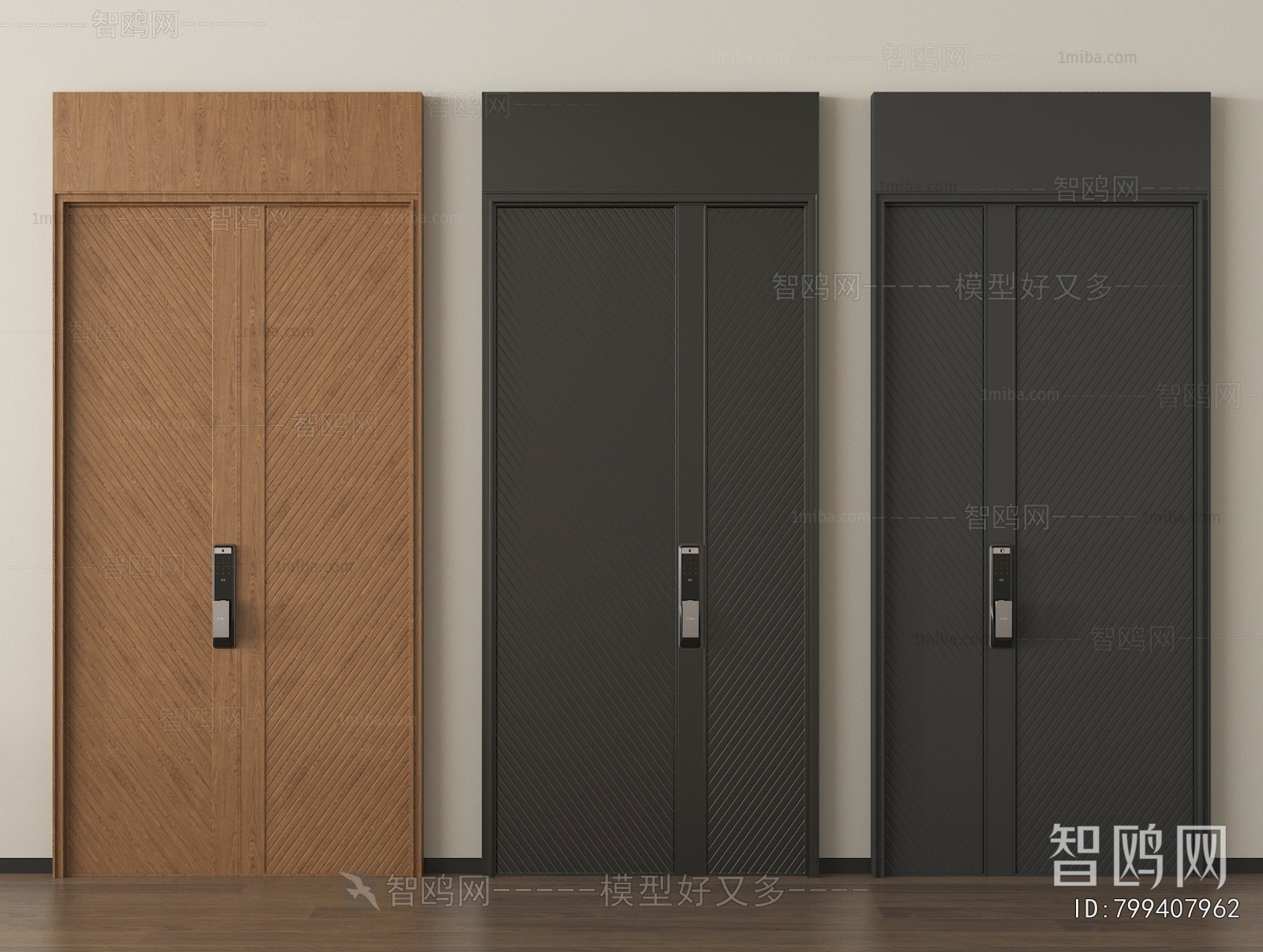 Modern Entrance Door