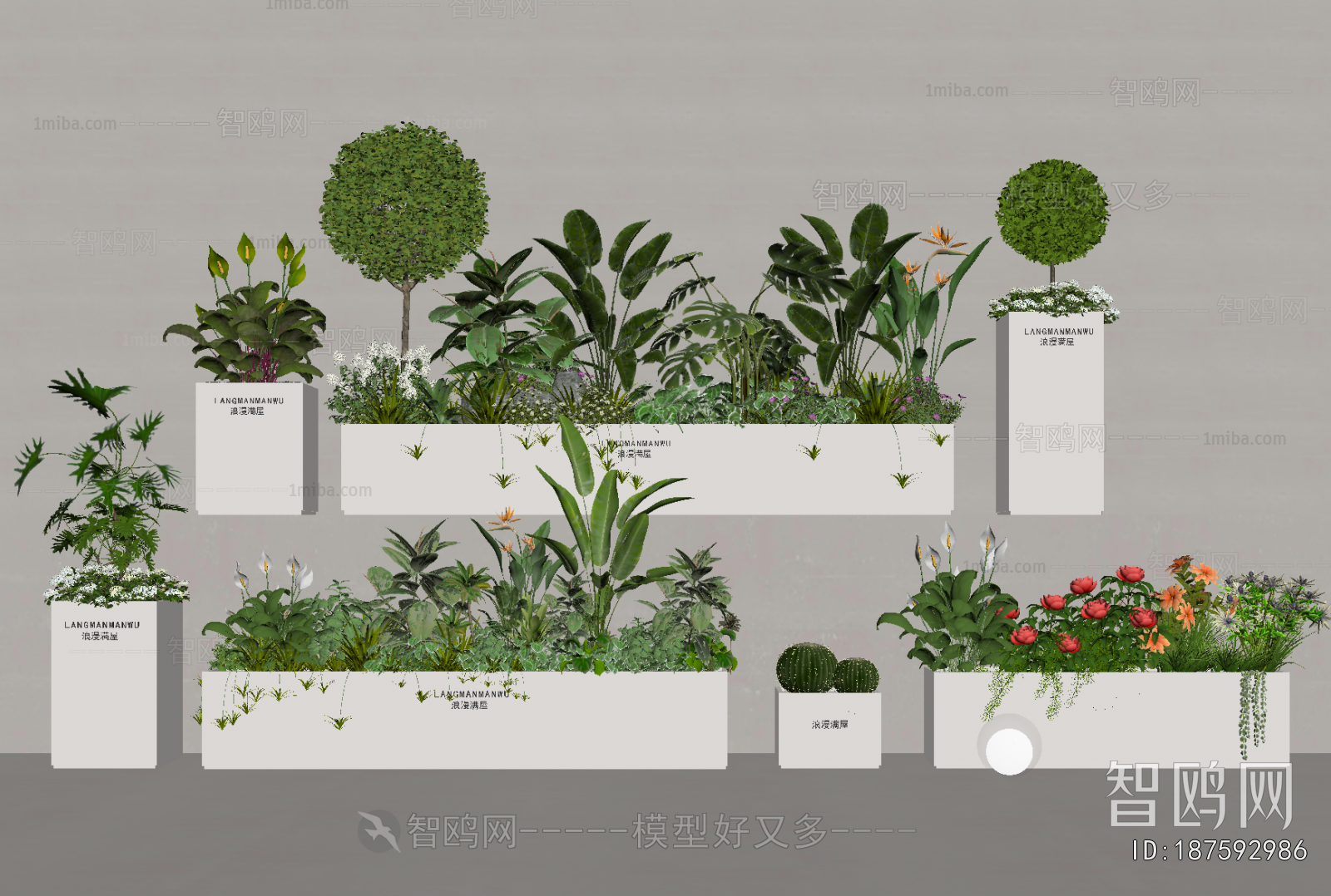 Modern Flower Bed, Flower Bowl, Flower Box