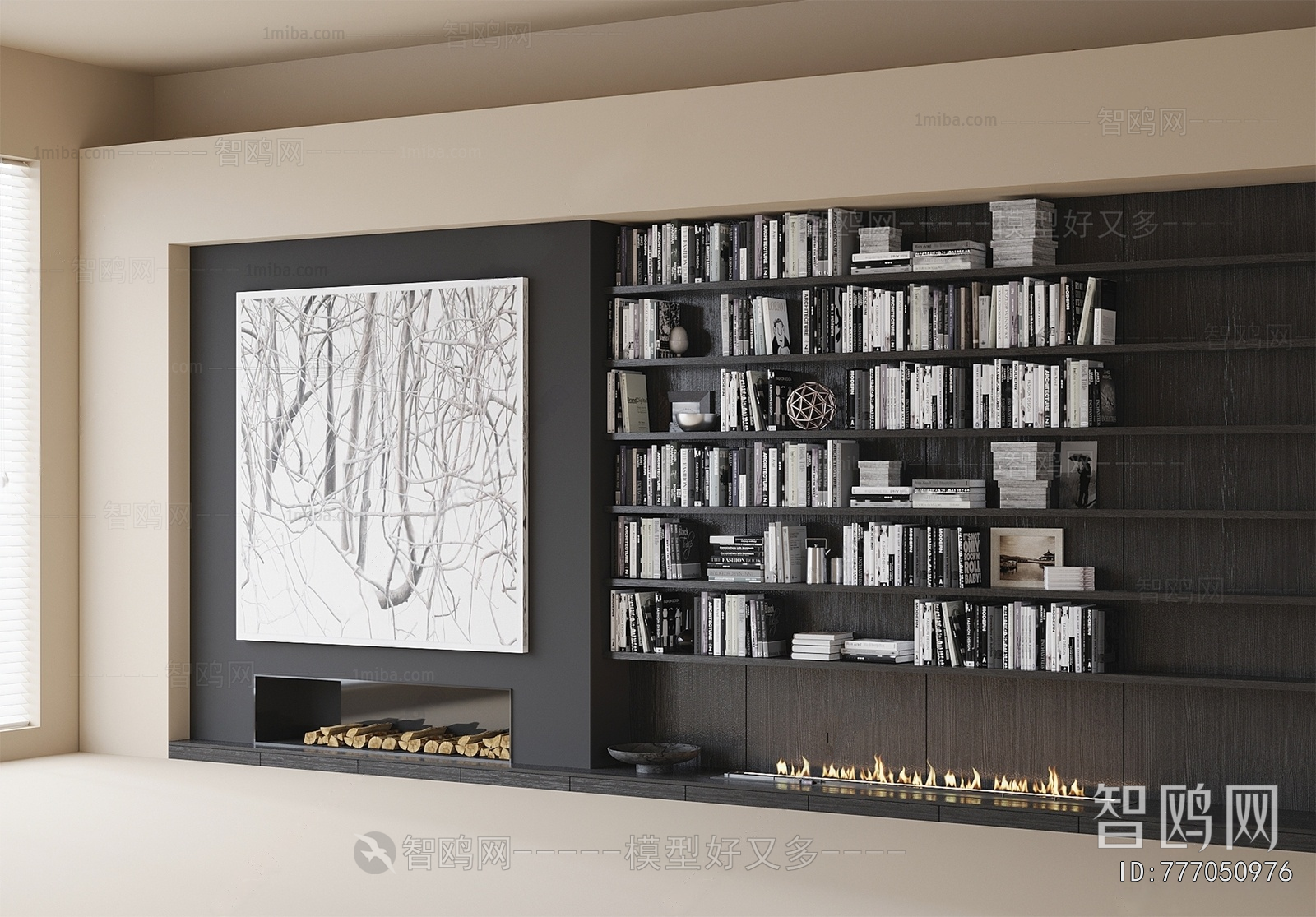 Modern Bookcase