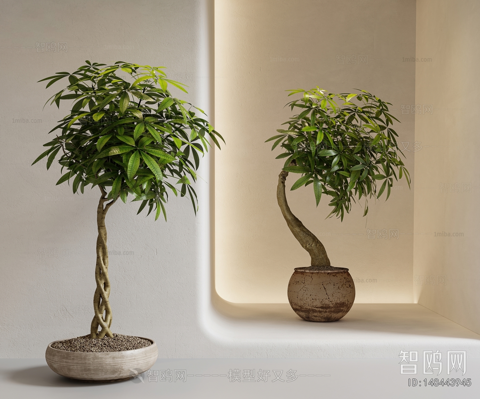 Modern Ground Green Plant Potted Plants