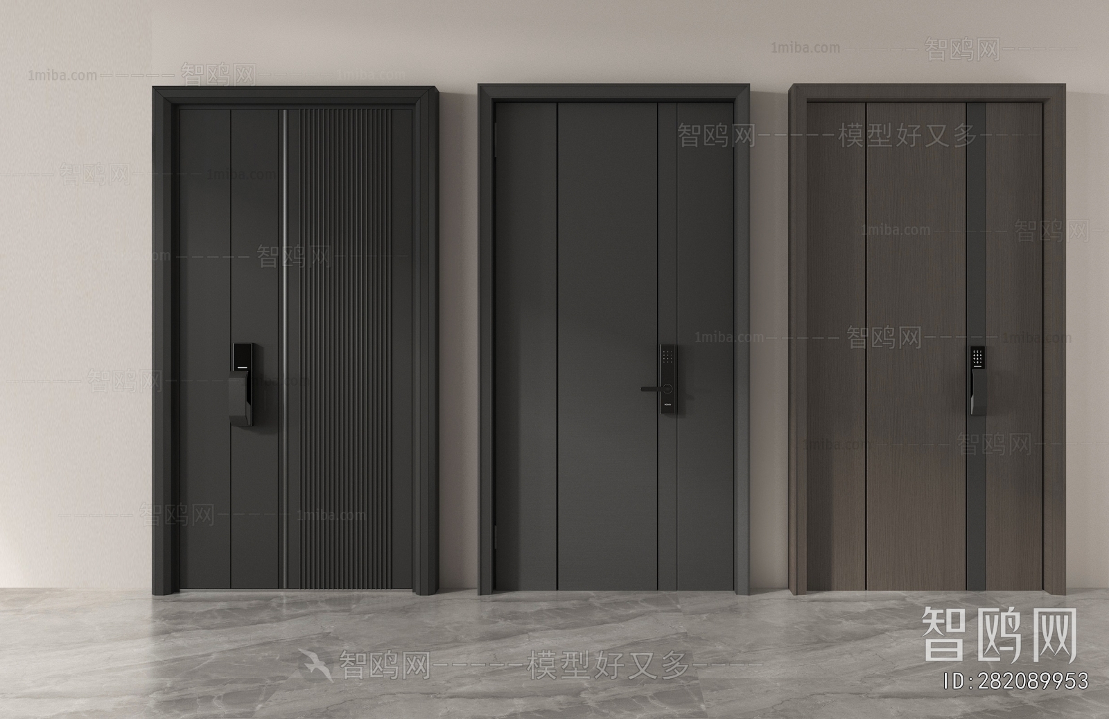 Modern Entrance Door