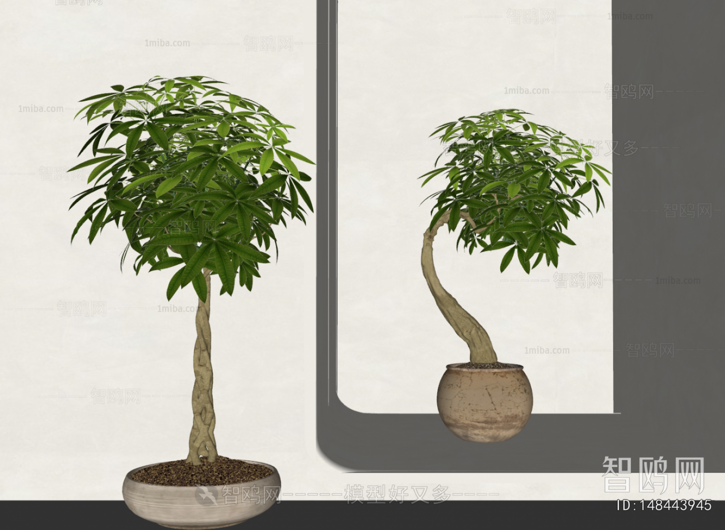 Modern Ground Green Plant Potted Plants