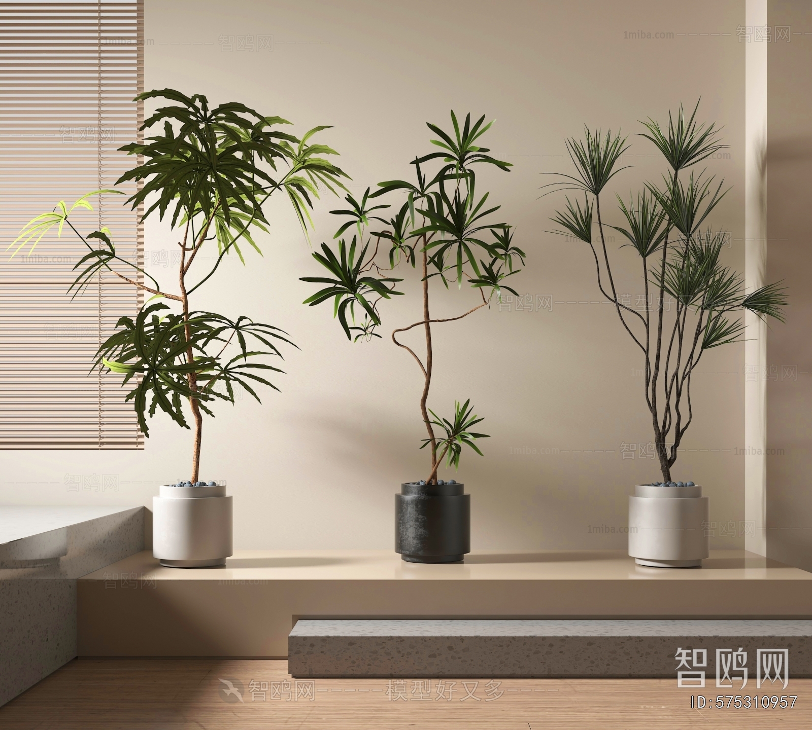 Modern Ground Green Plant Potted Plants