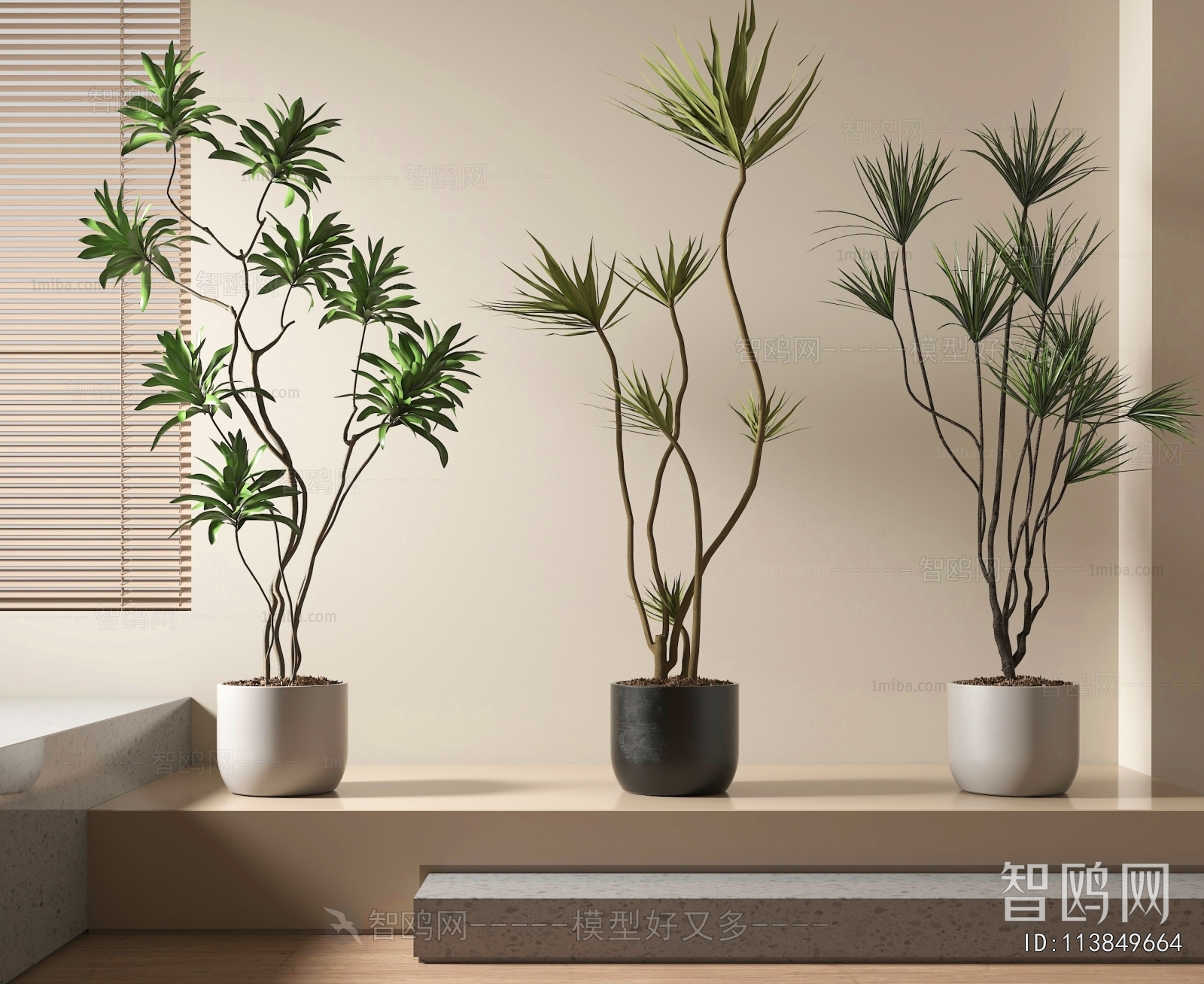 Modern Ground Green Plant Potted Plants