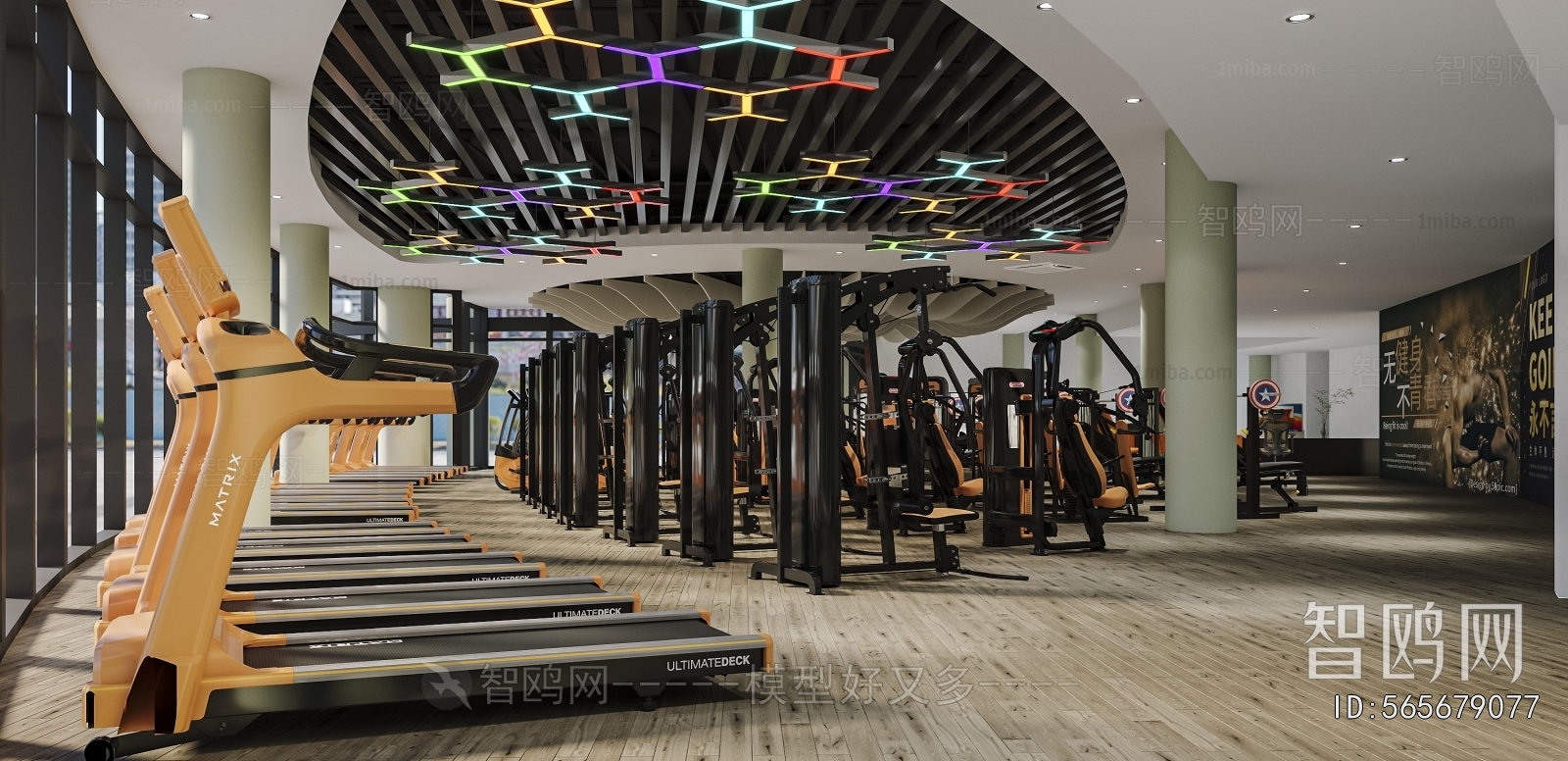 Modern Gym