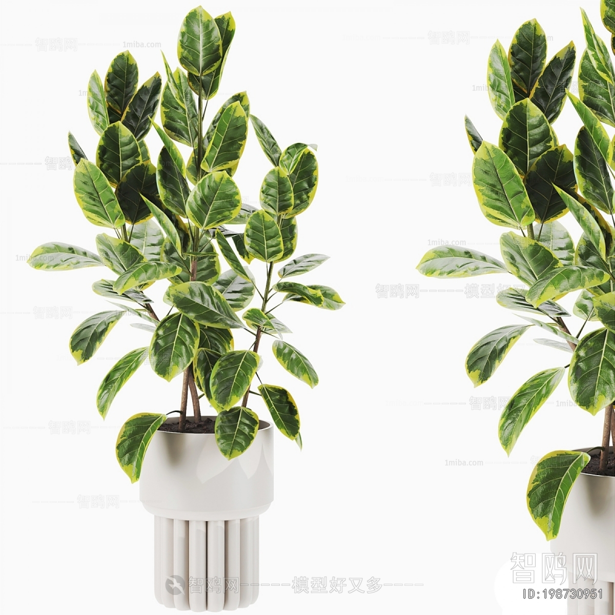 Modern Ground Green Plant Potted Plants