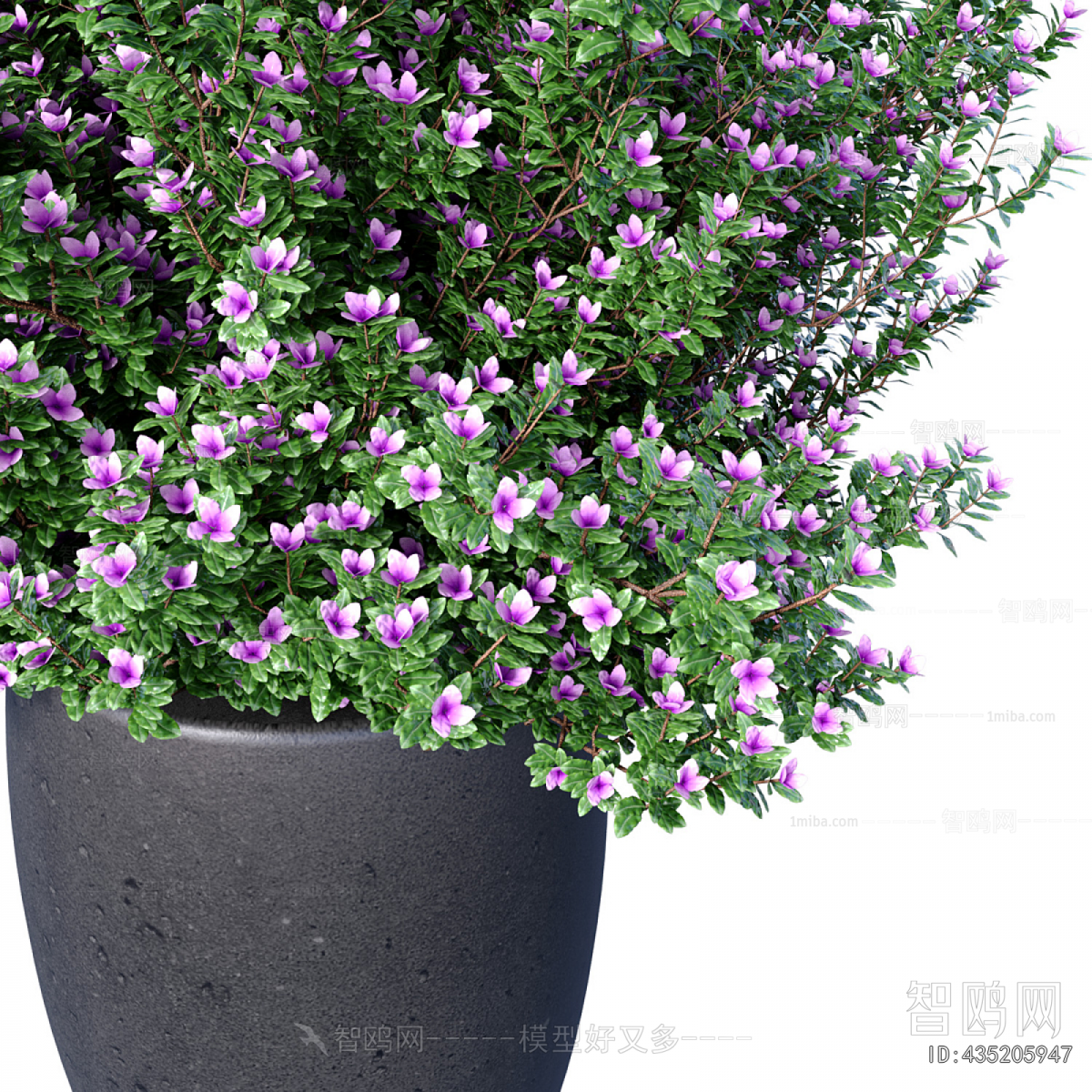 Modern Ground Green Plant Potted Plants