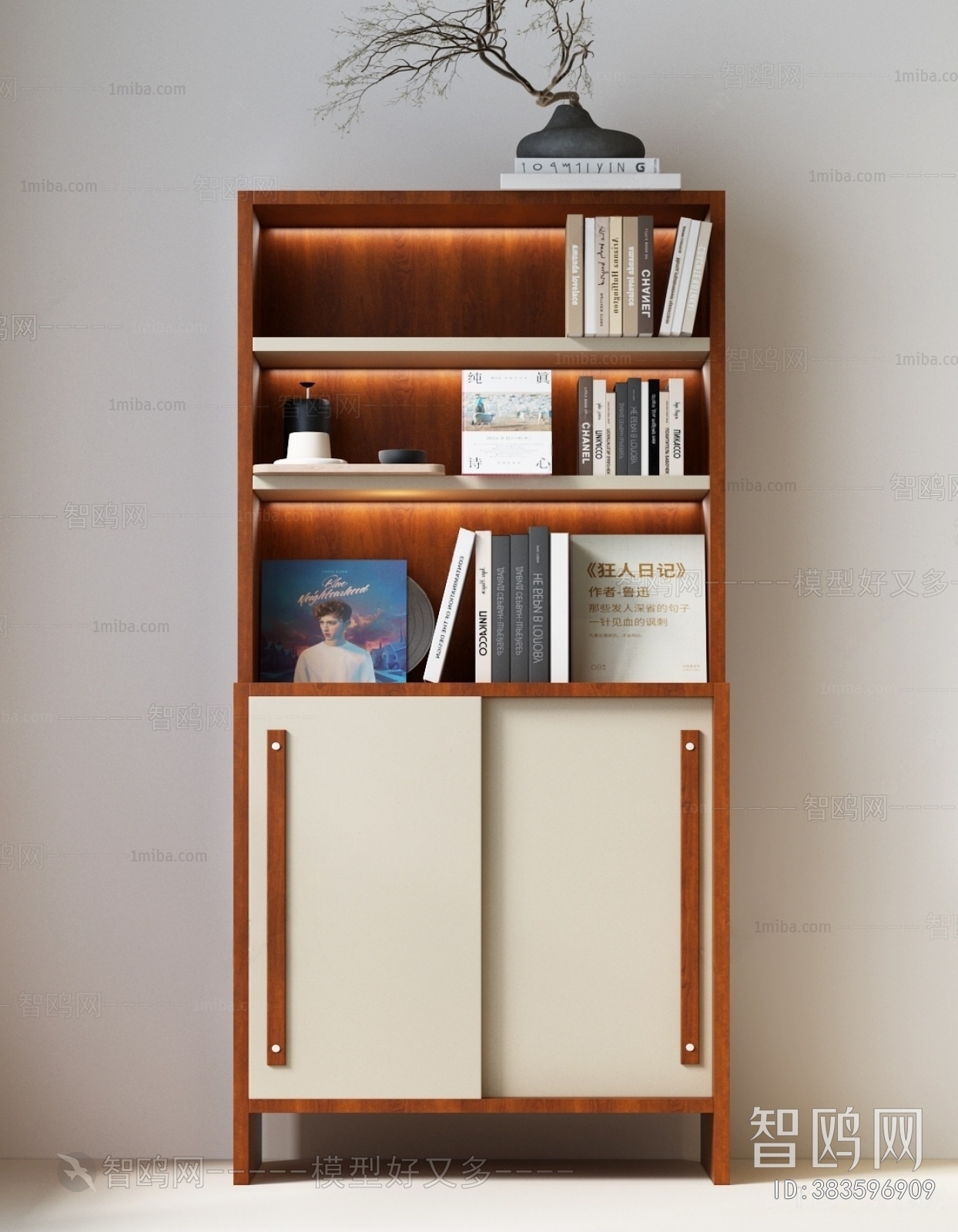 Modern Bookcase