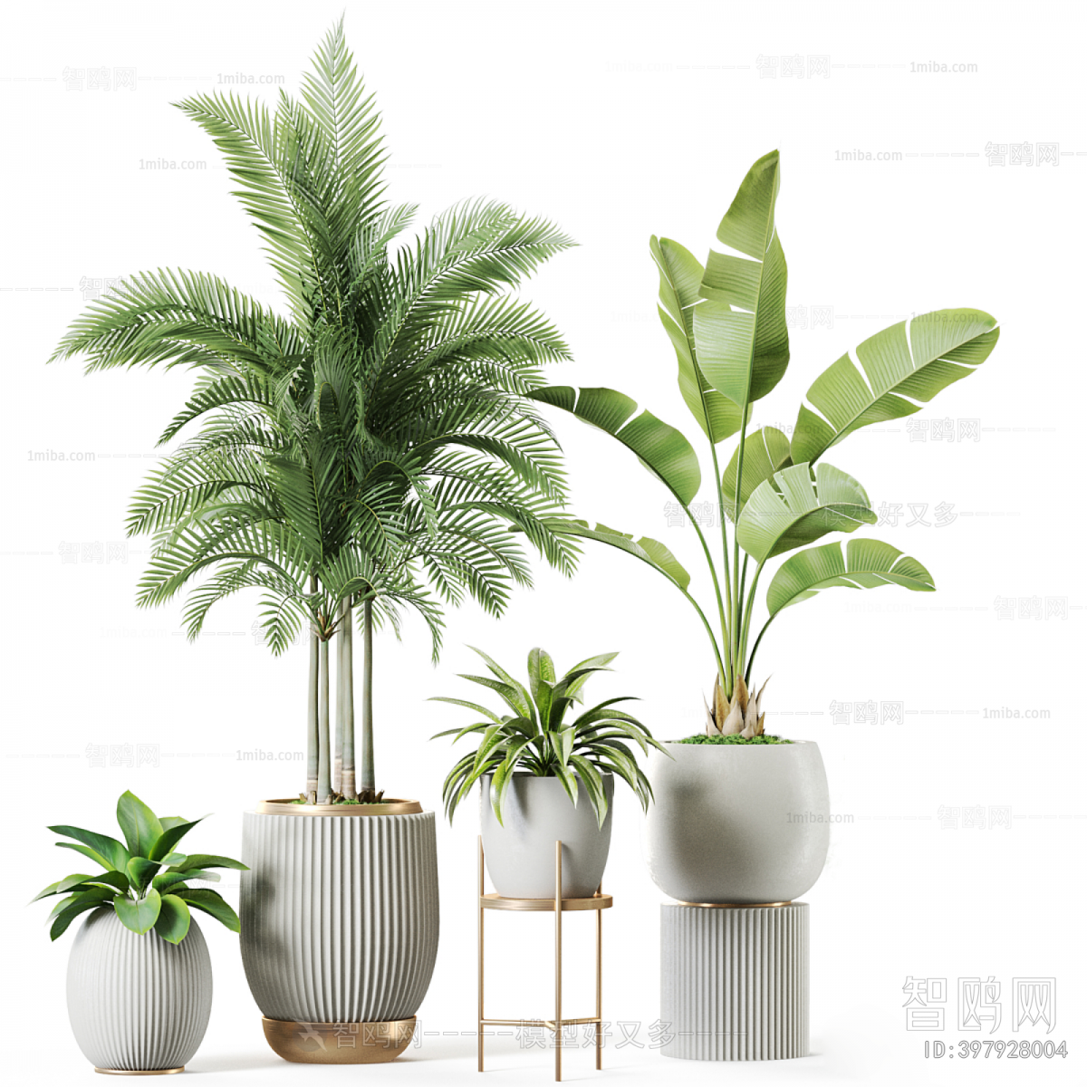 Modern Ground Green Plant Potted Plants