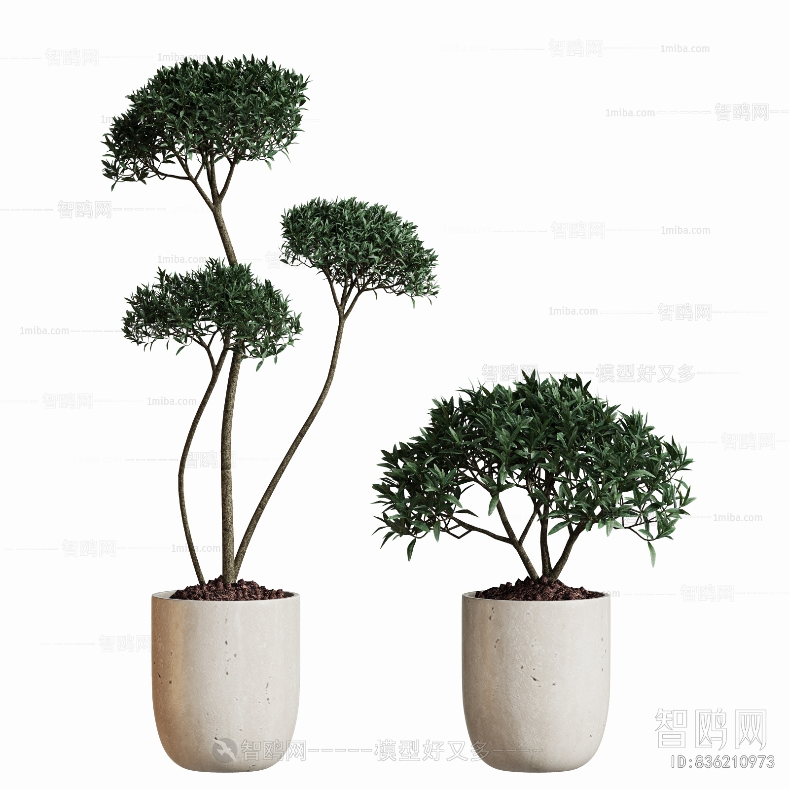 Modern Ground Green Plant Potted Plants