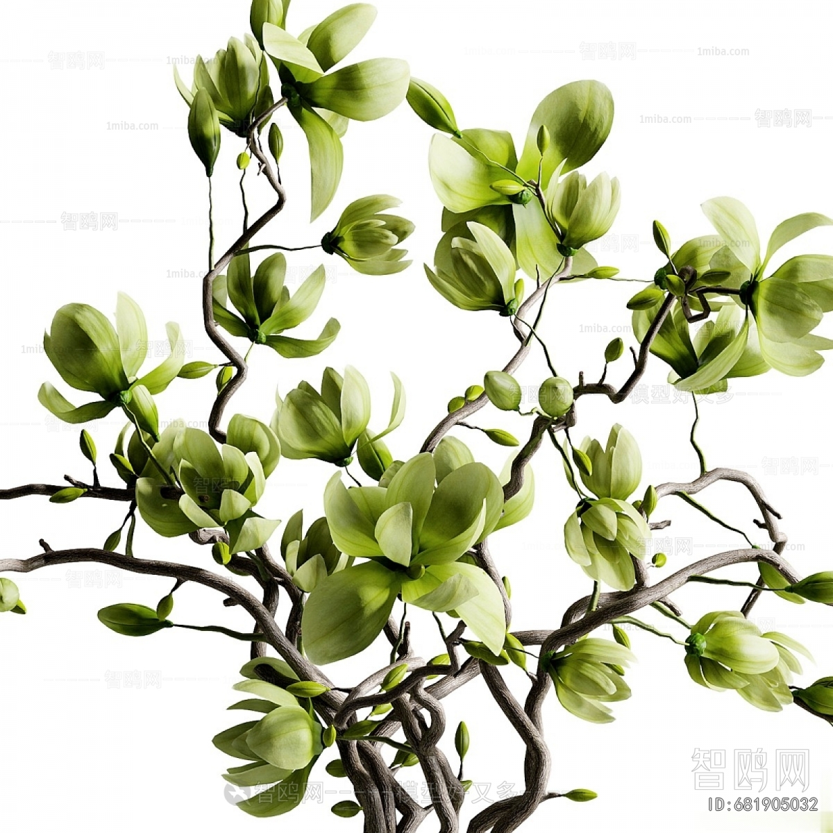 Modern Aquatic Green Plant