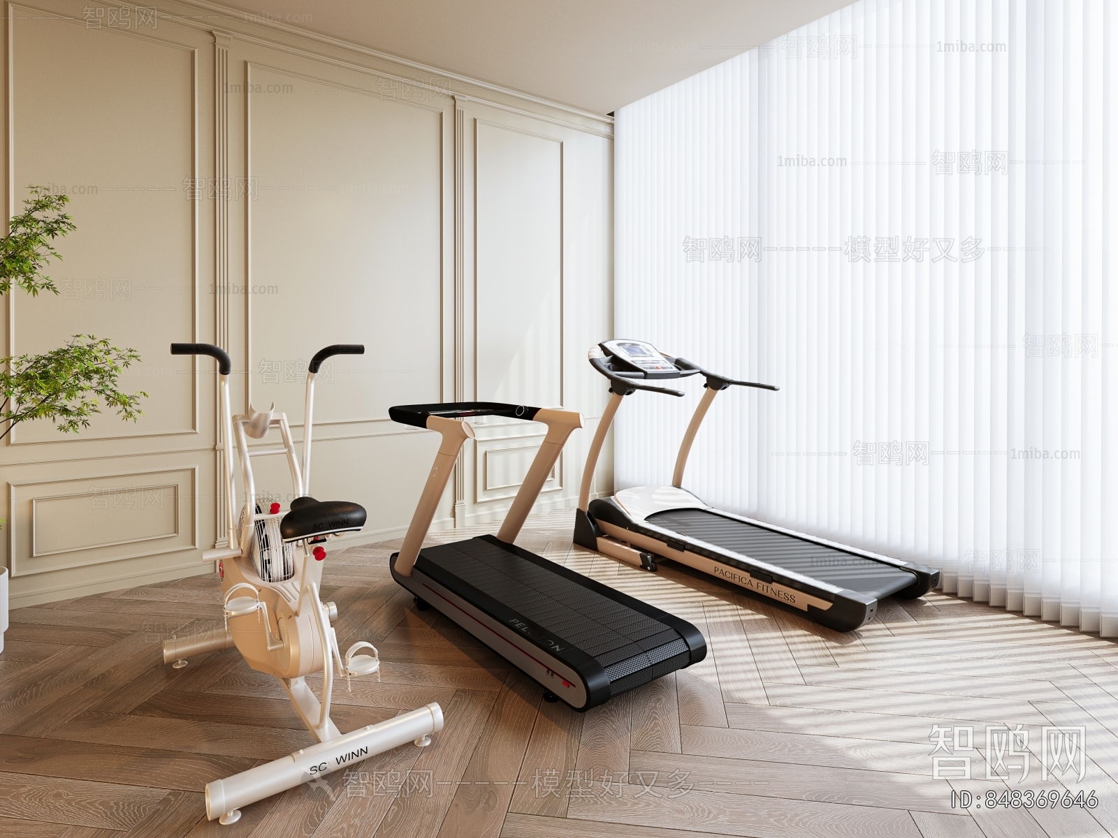 Modern Fitness Equipment