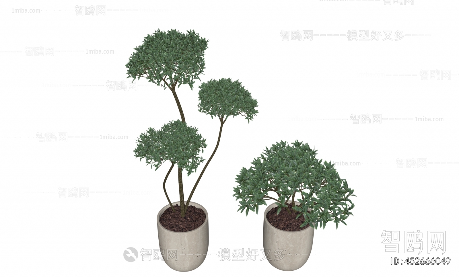 Modern Ground Green Plant Potted Plants