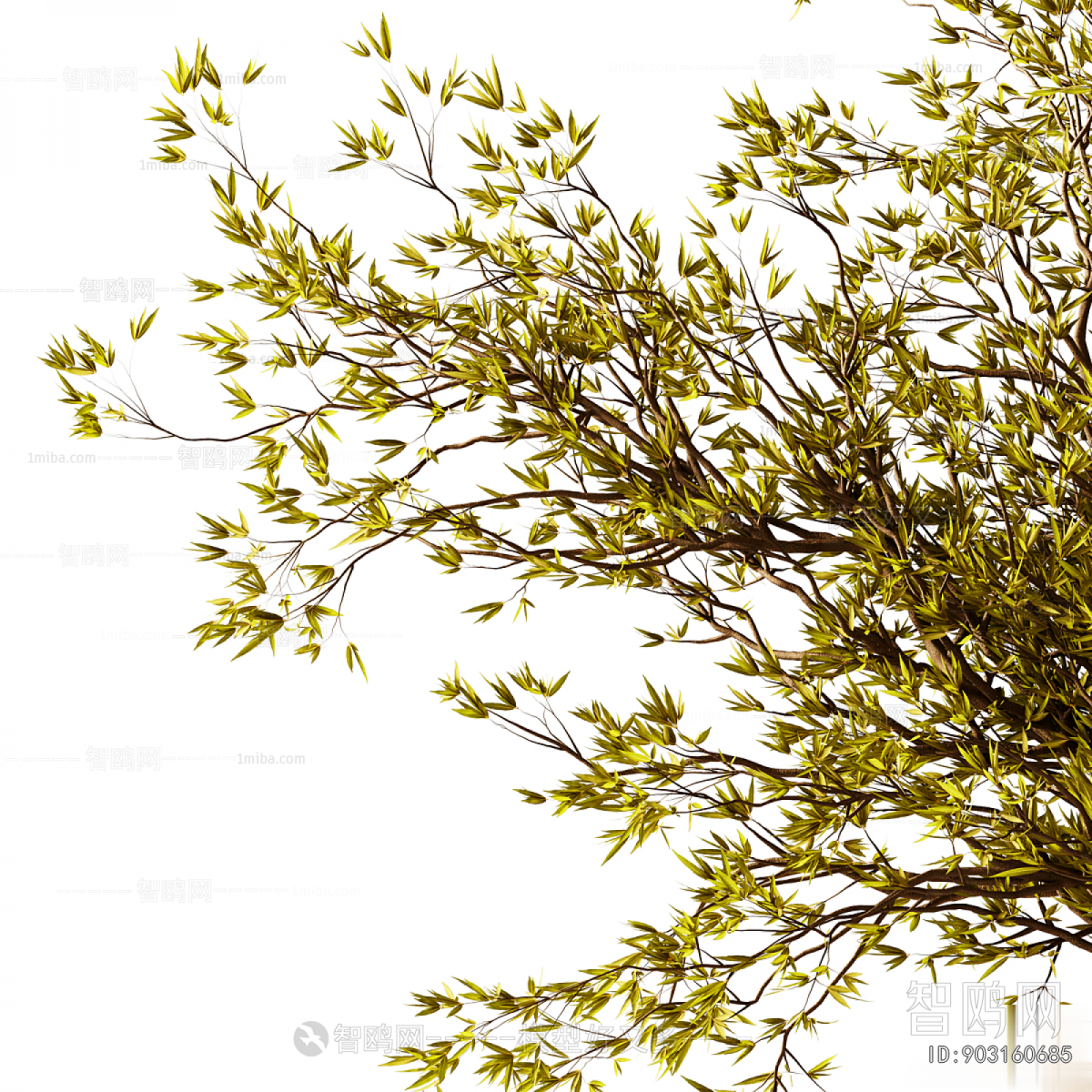 Modern Aquatic Green Plant