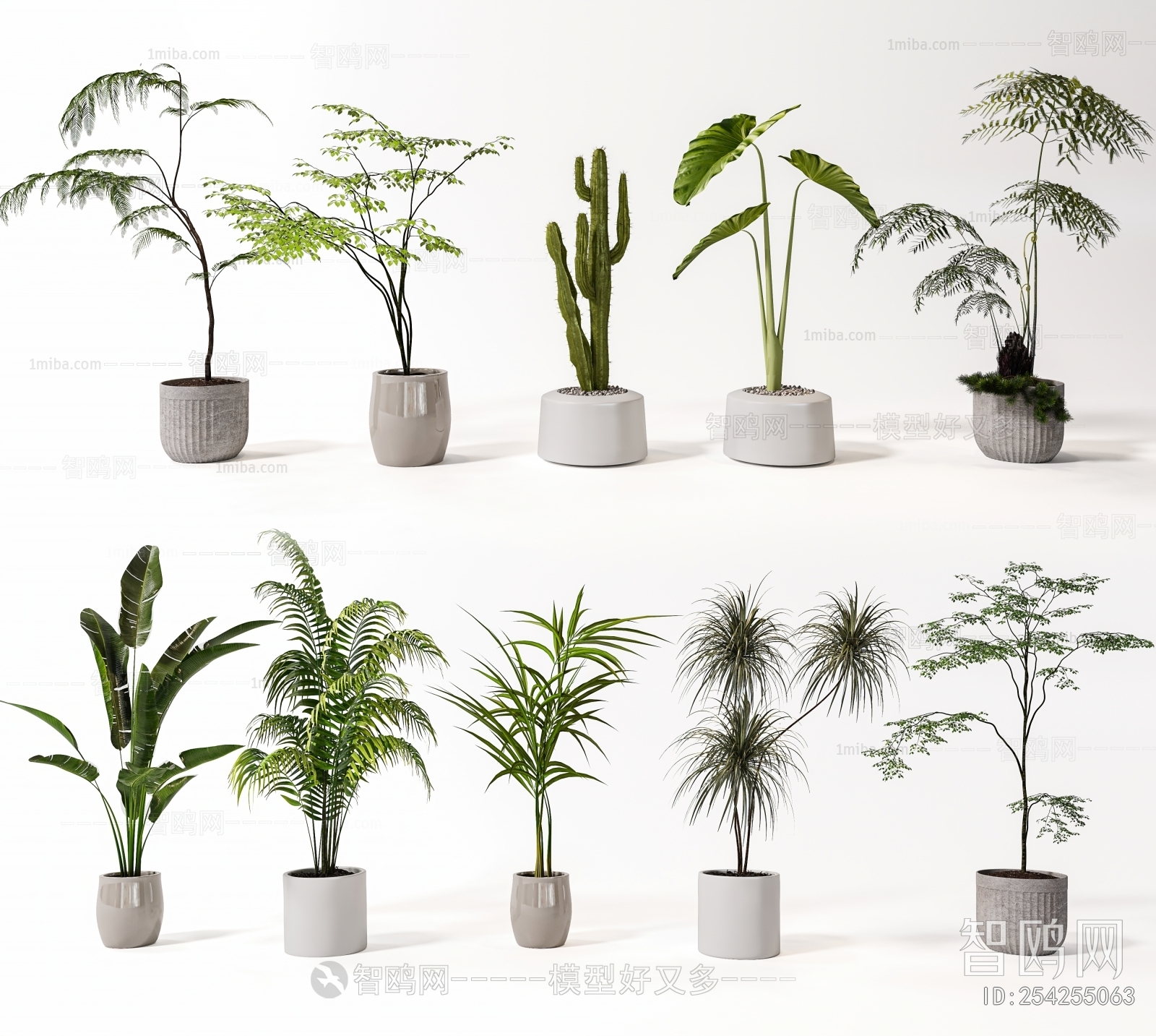 Modern Ground Green Plant Potted Plants