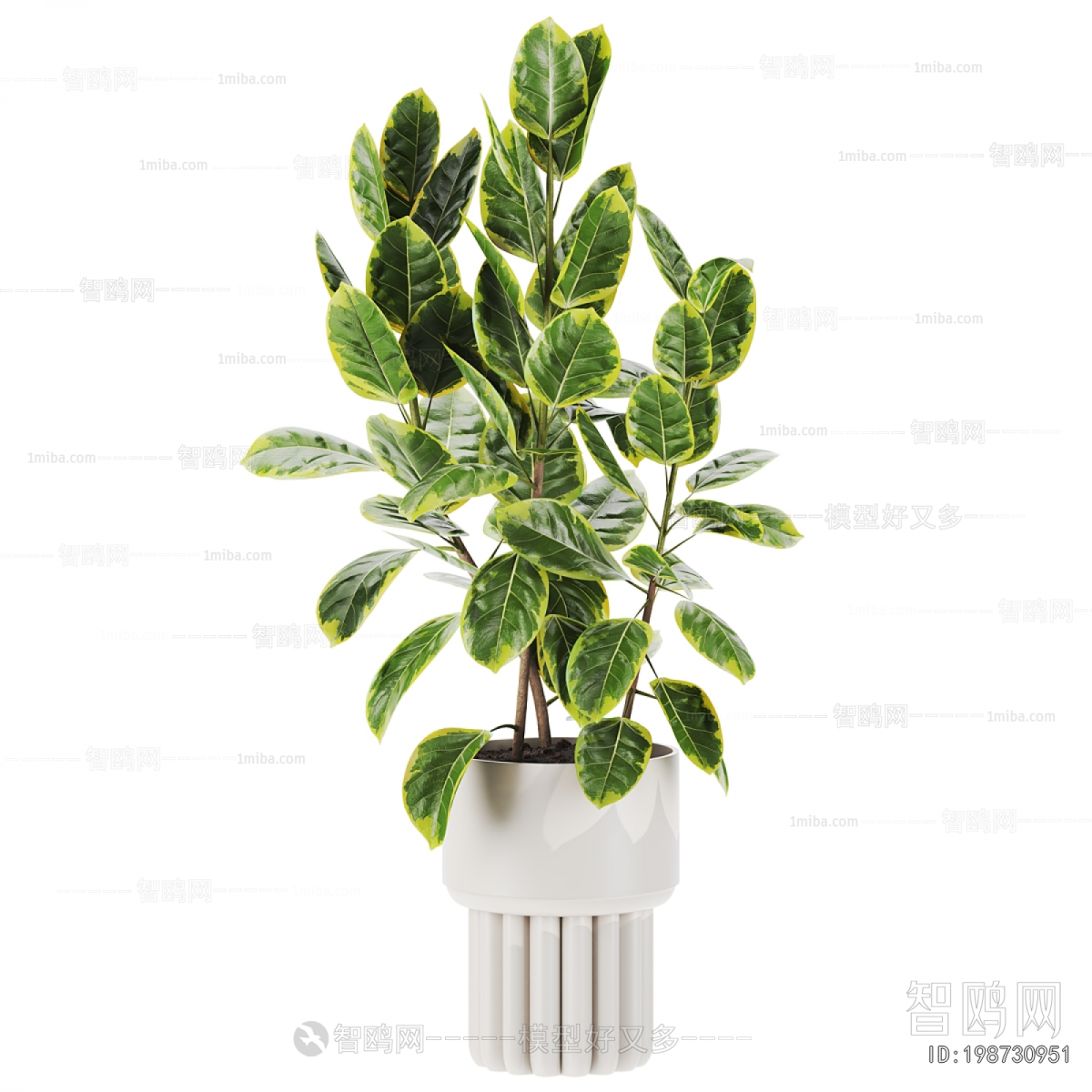 Modern Ground Green Plant Potted Plants