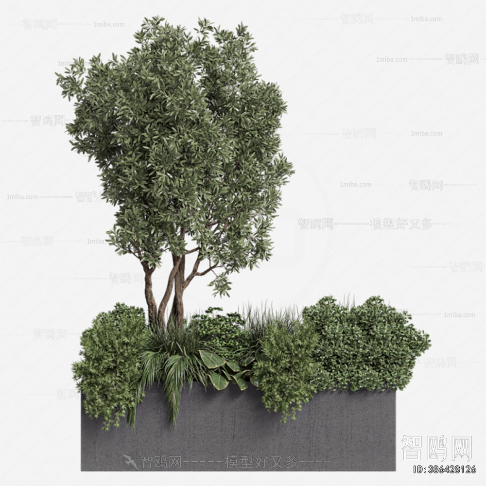 Modern Flower Bed, Flower Bowl, Flower Box