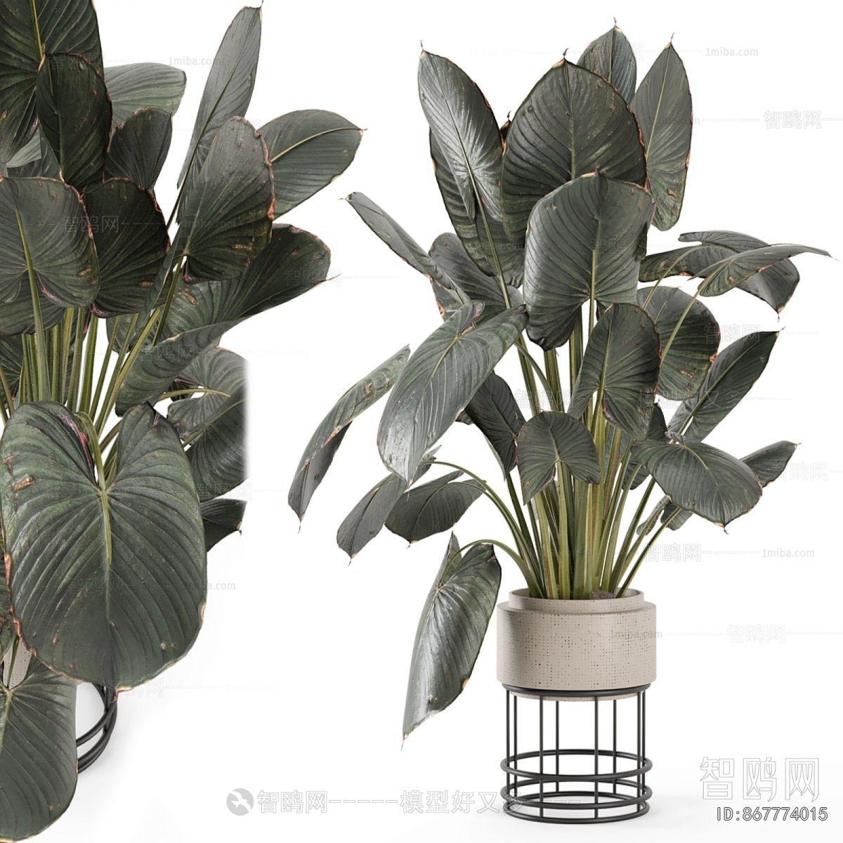 Modern Ground Green Plant Potted Plants
