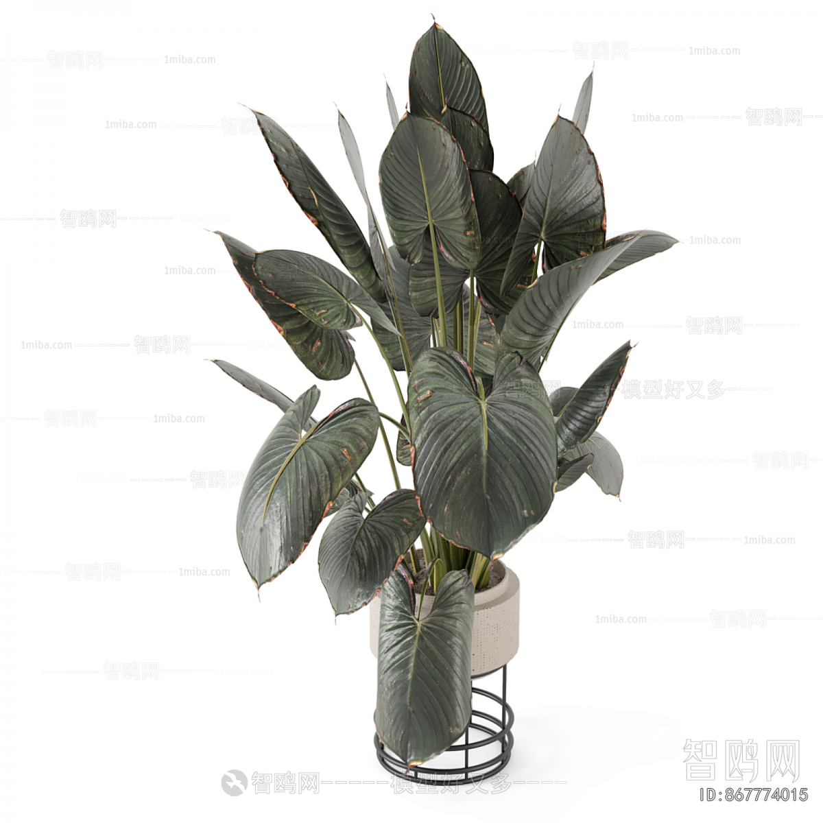 Modern Ground Green Plant Potted Plants