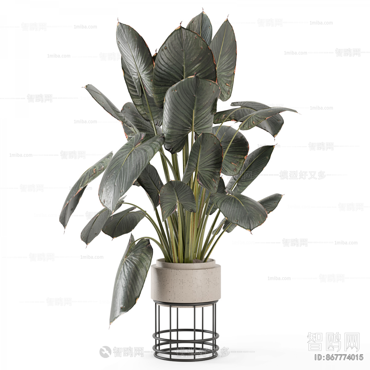 Modern Ground Green Plant Potted Plants