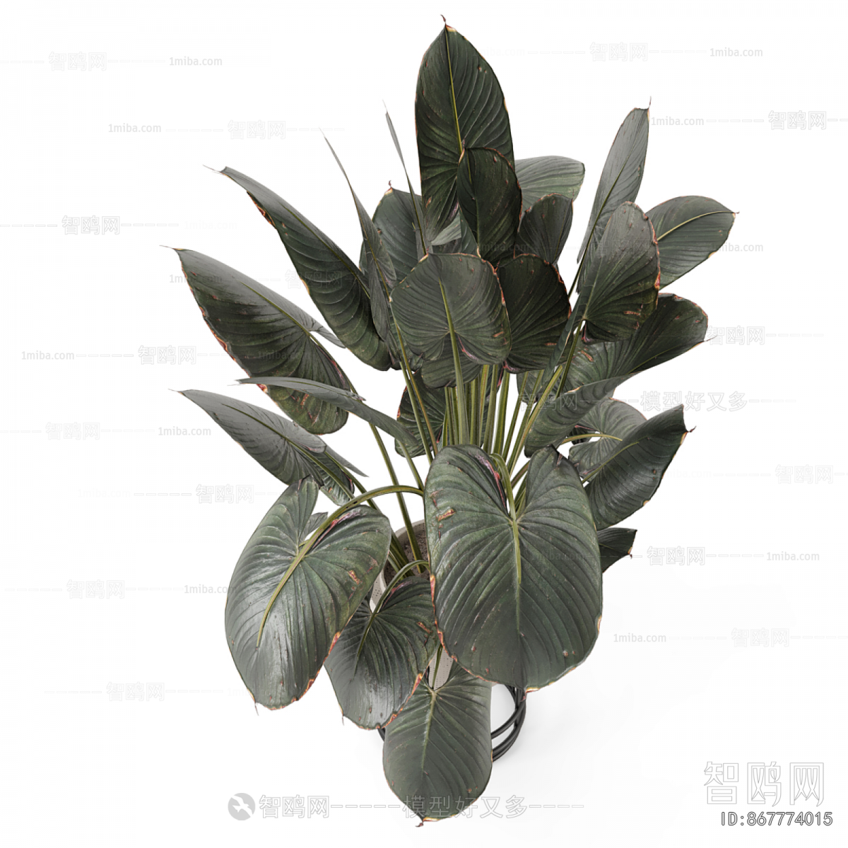 Modern Ground Green Plant Potted Plants