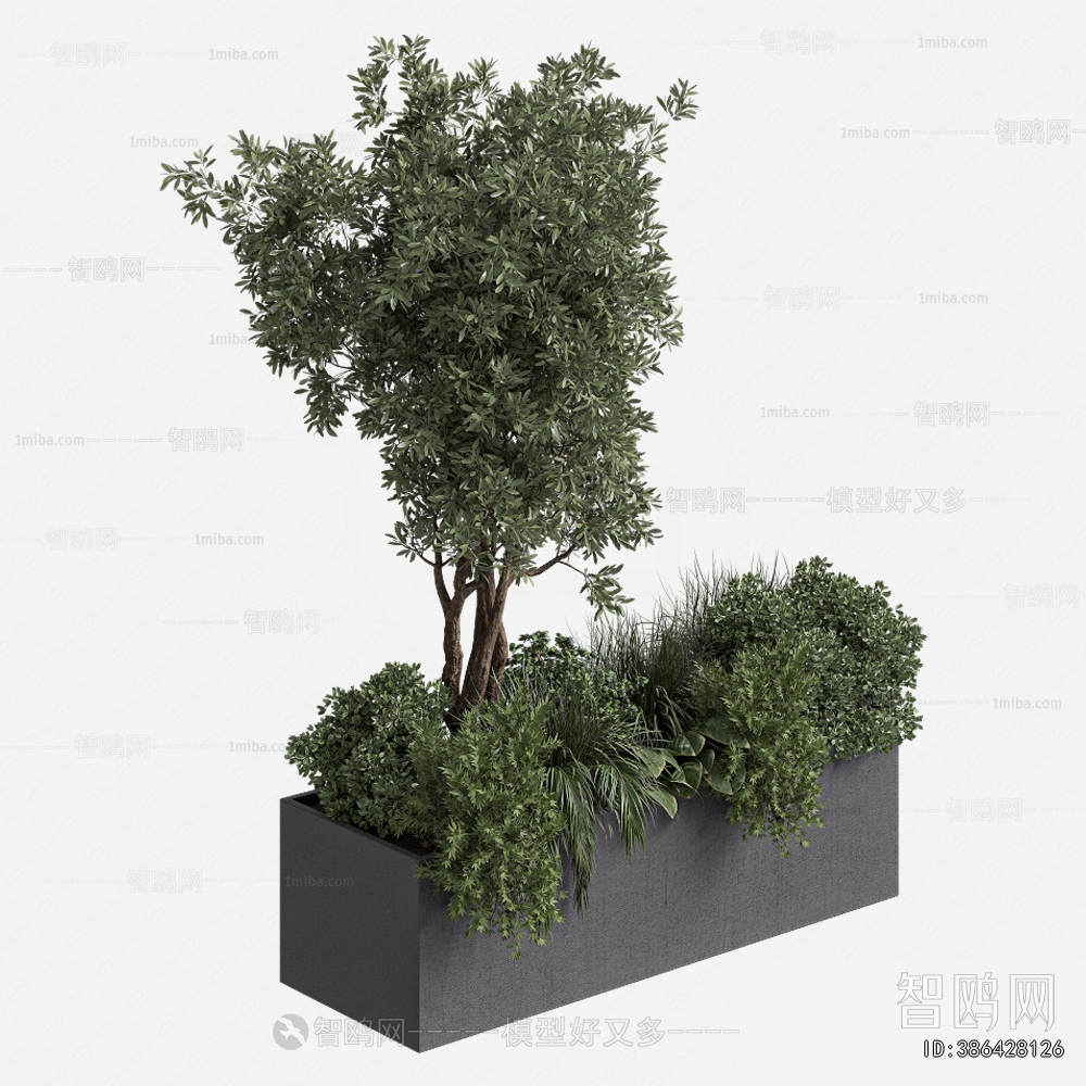 Modern Flower Bed, Flower Bowl, Flower Box