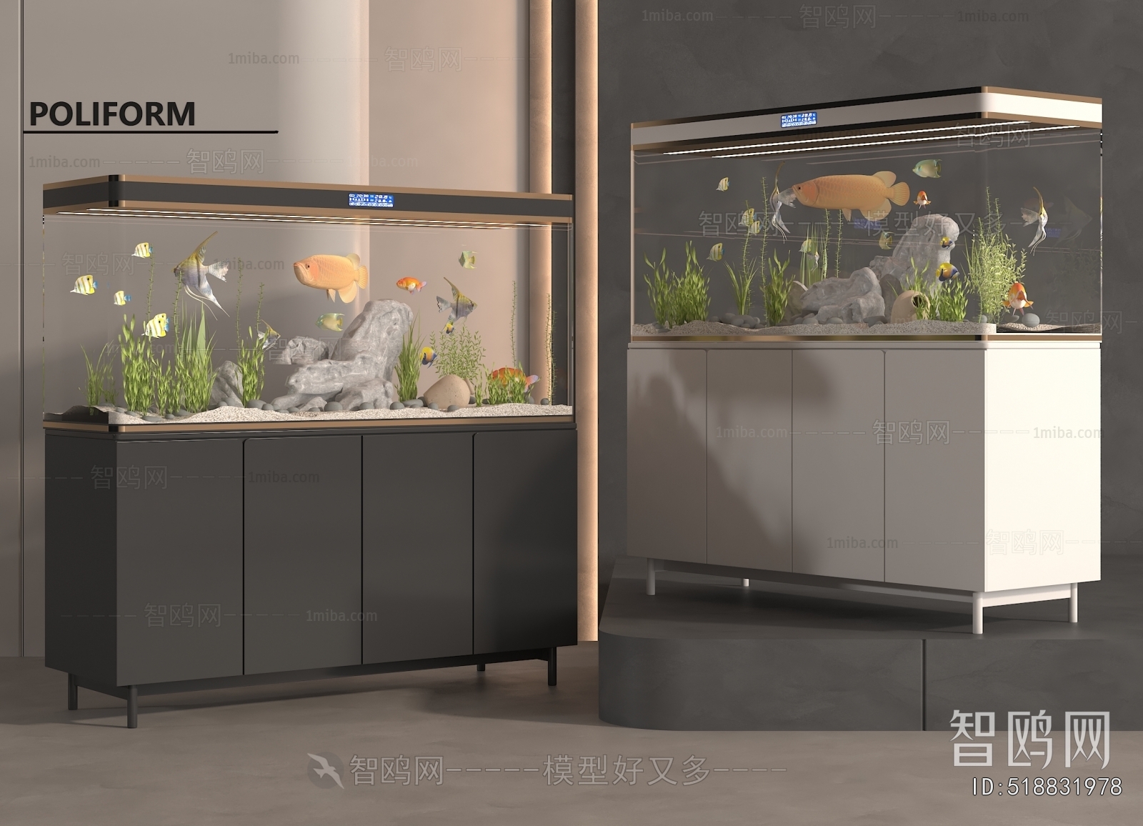 Modern Fish Tank